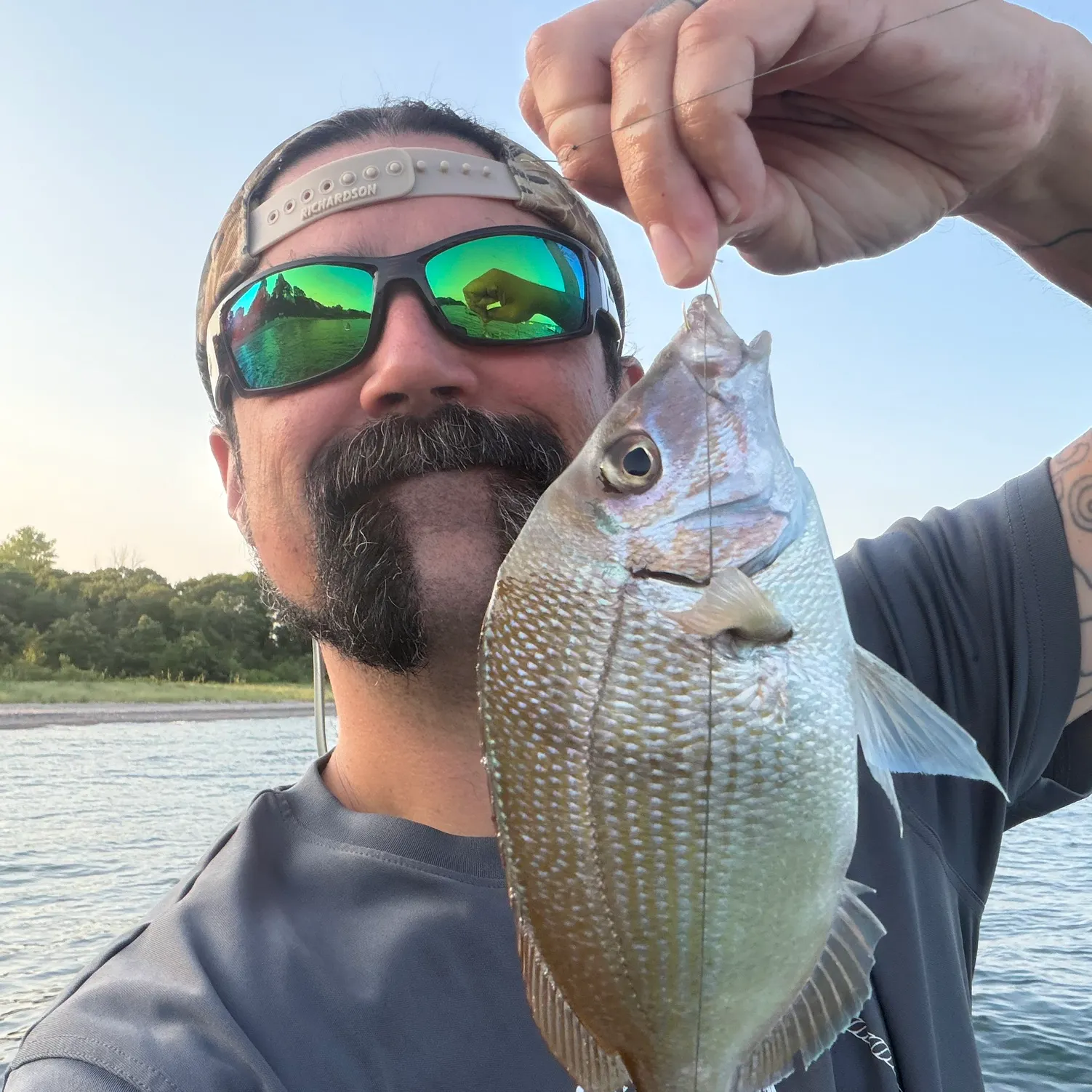 The most recent Scup catches on Fishbrain