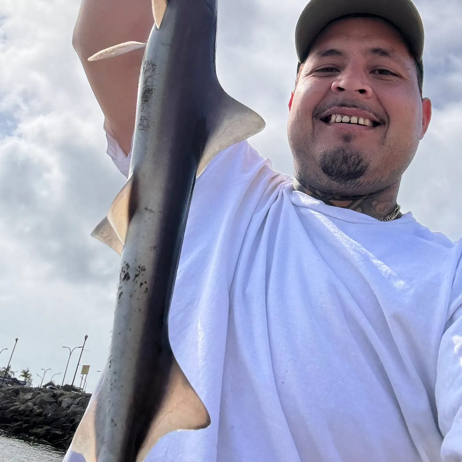 The most recent Brown smooth-hound catches on Fishbrain