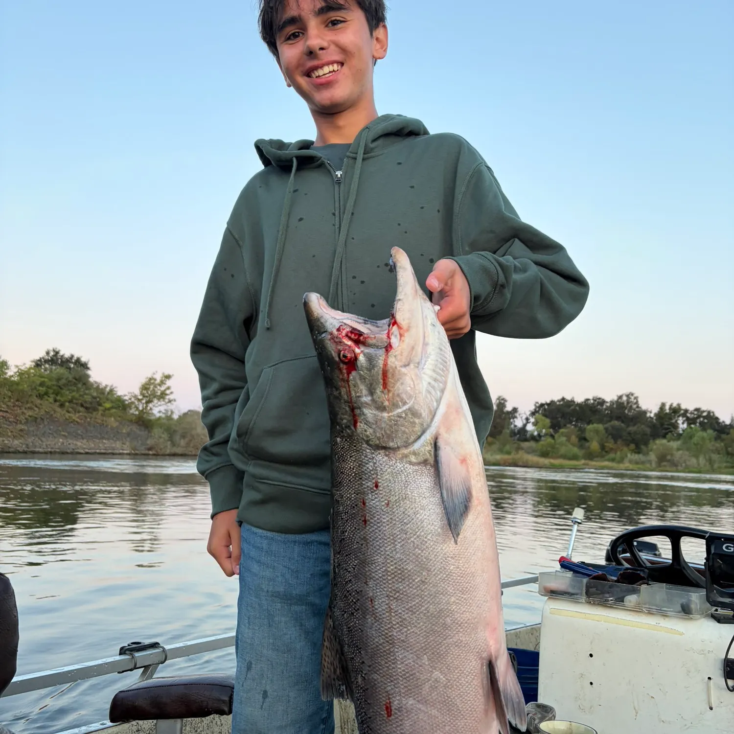 Chinook salmon caught on Fishbrain