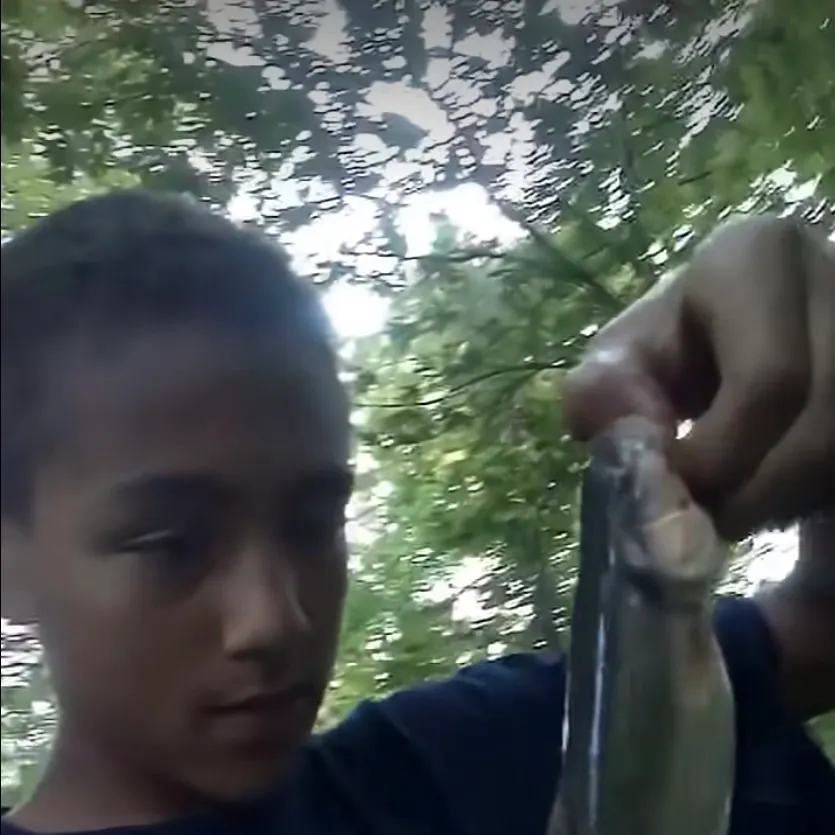 Creek chub caught on Fishbrain