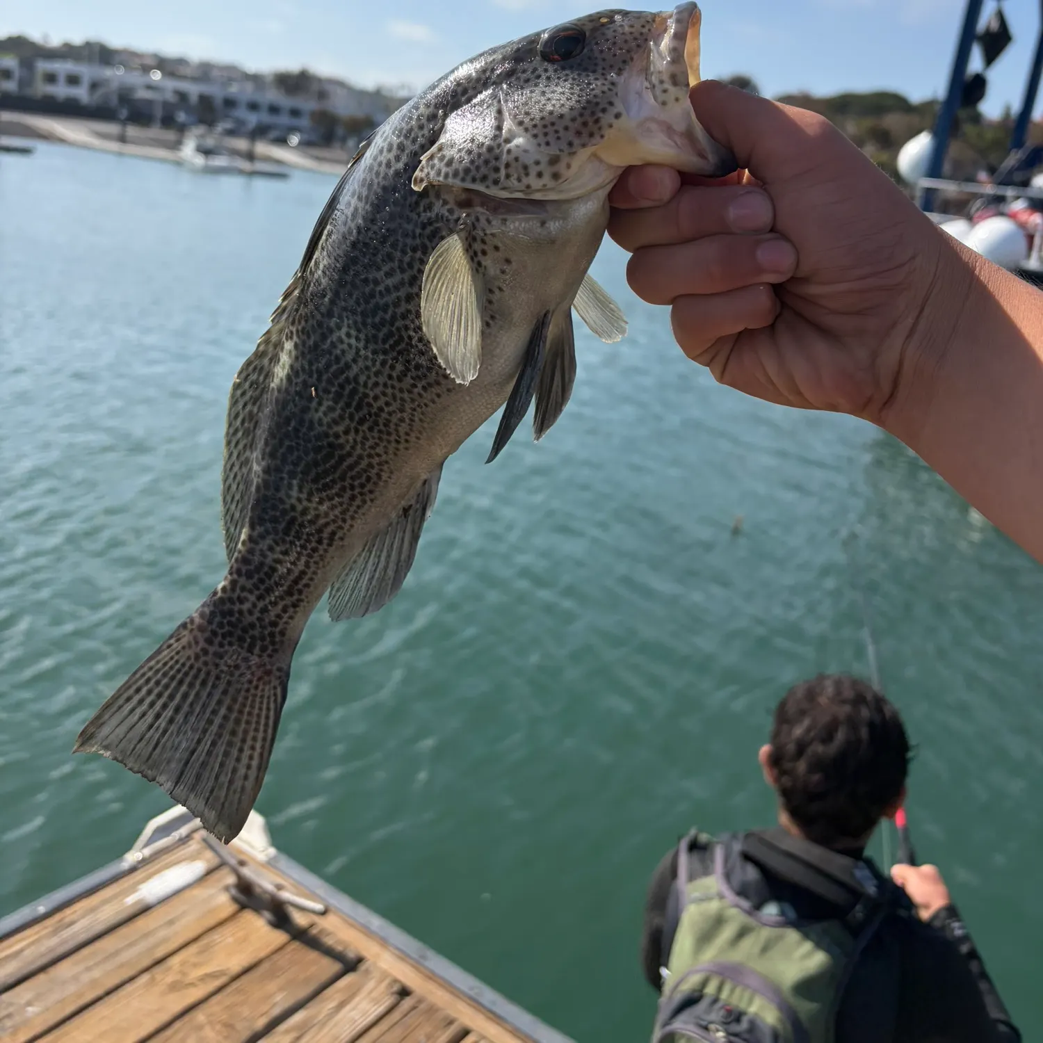 catch
