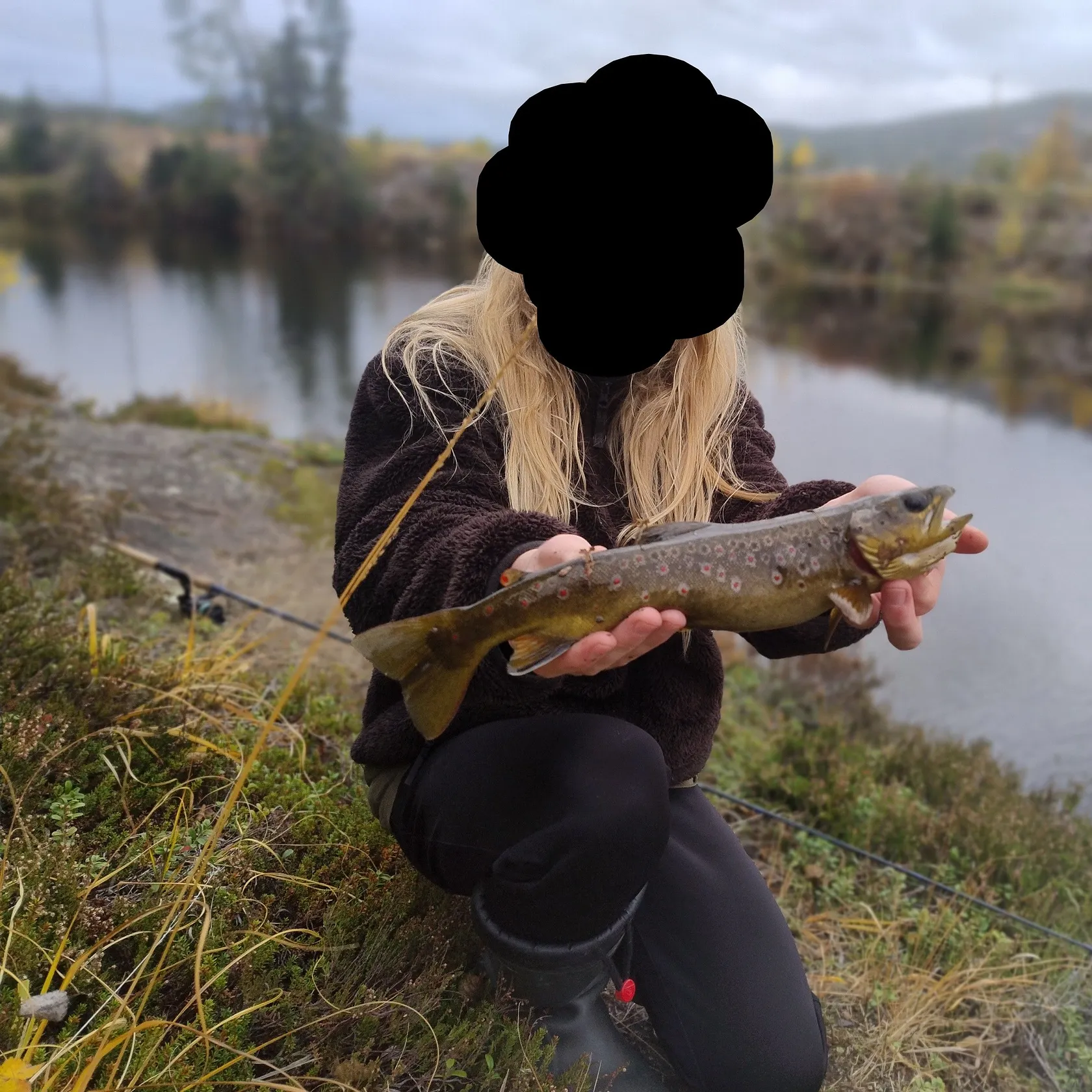 The most recent Lake trout catches on Fishbrain