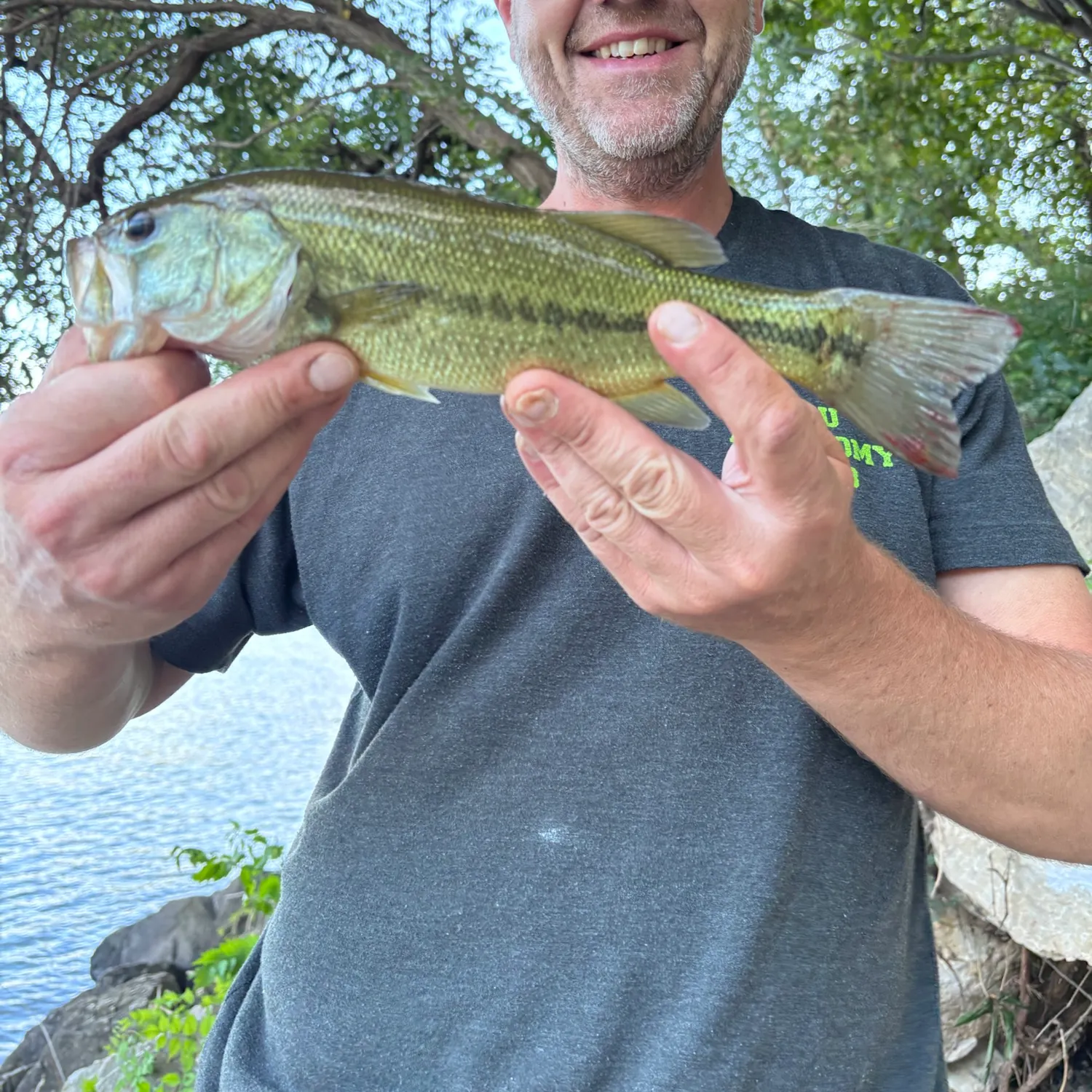 Spotted bass caught on Fishbrain
