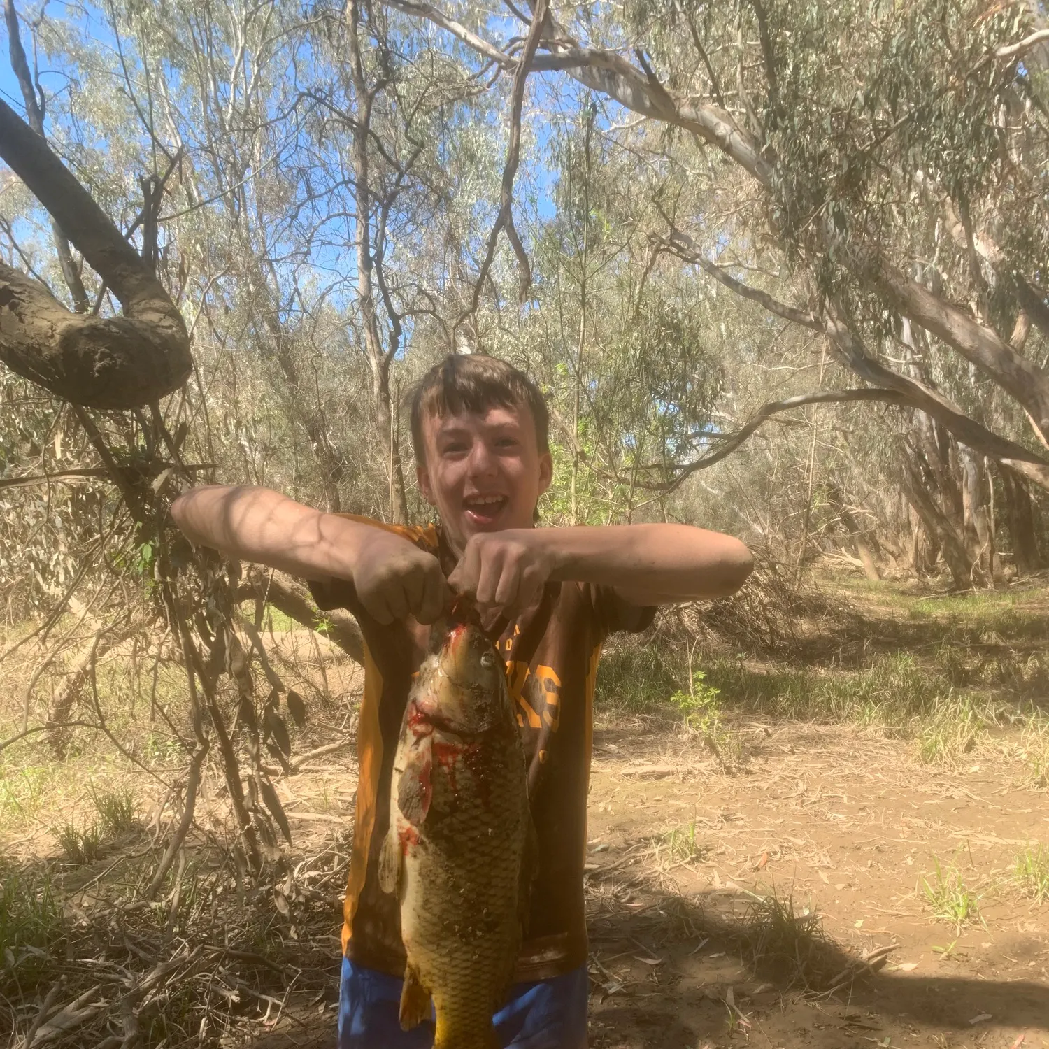 Common carp caught on Fishbrain