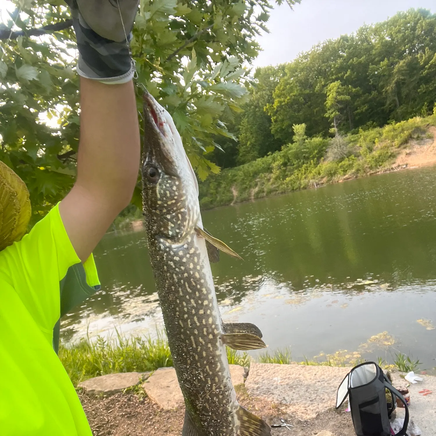 catch