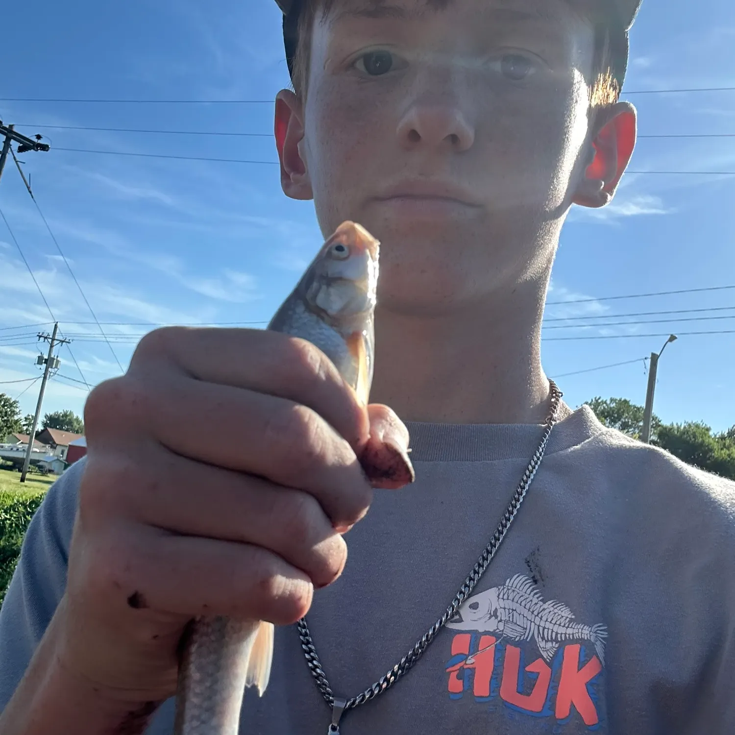 The most recent Silver chub catches on Fishbrain