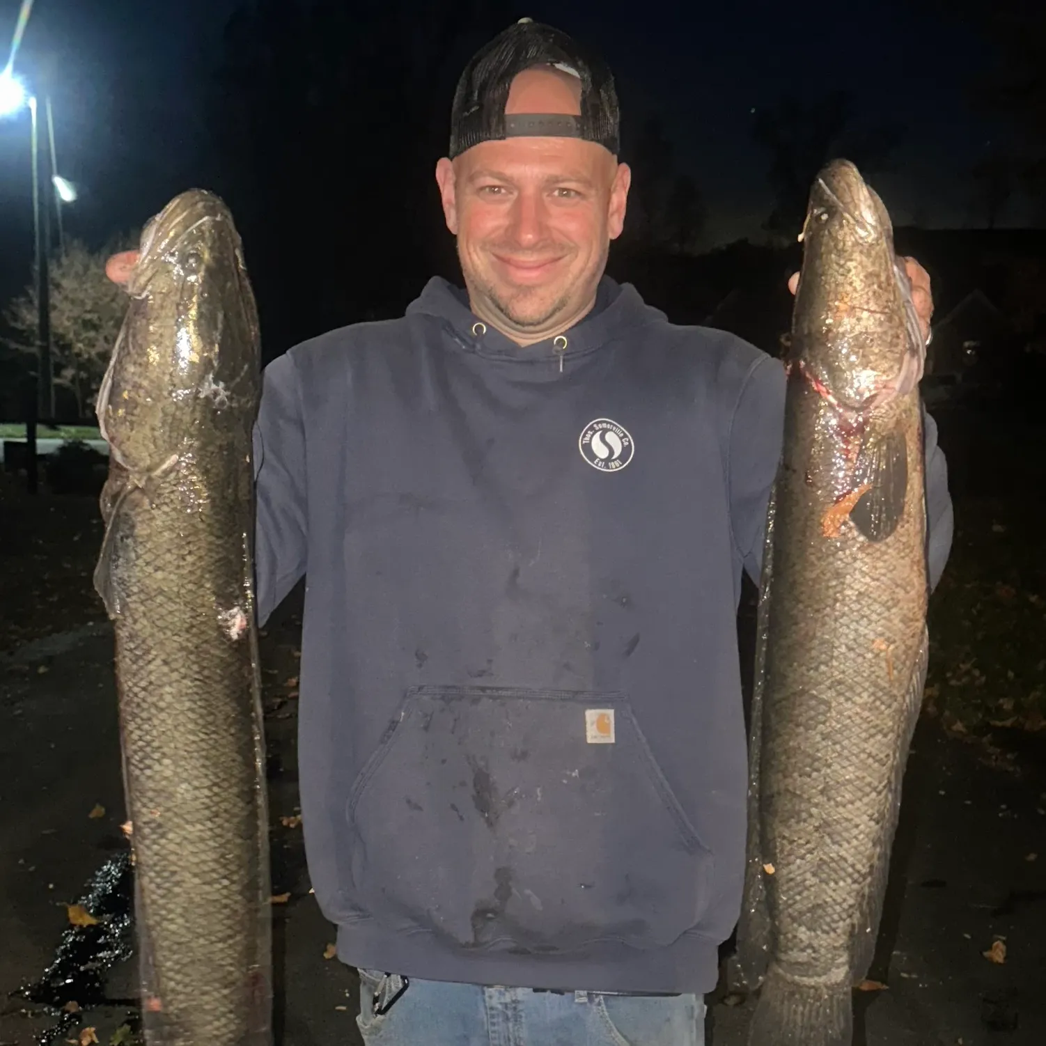 The most recent Northern snakehead catches on Fishbrain