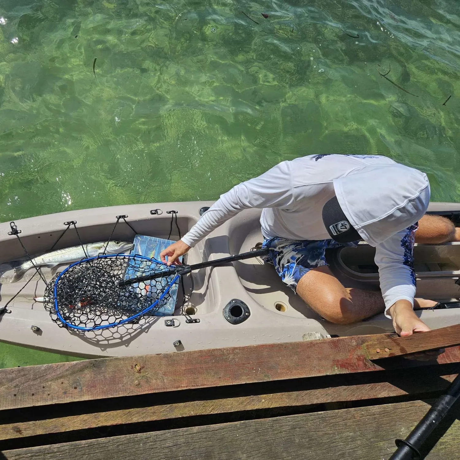 The most recent Great barracuda catches on Fishbrain