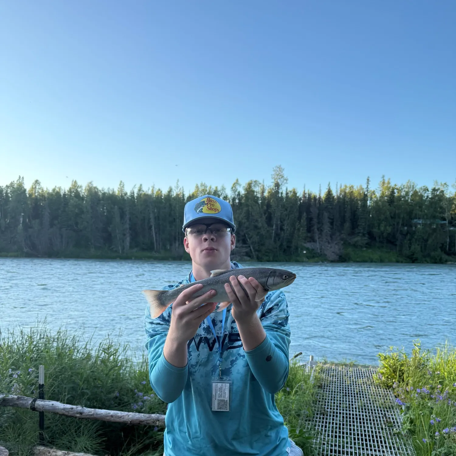 The most recent Dolly varden catches on Fishbrain