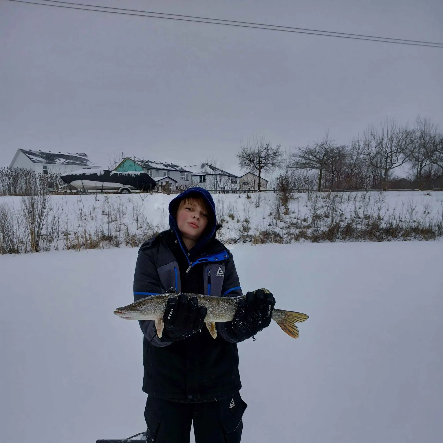 Northern pike caught on Fishbrain