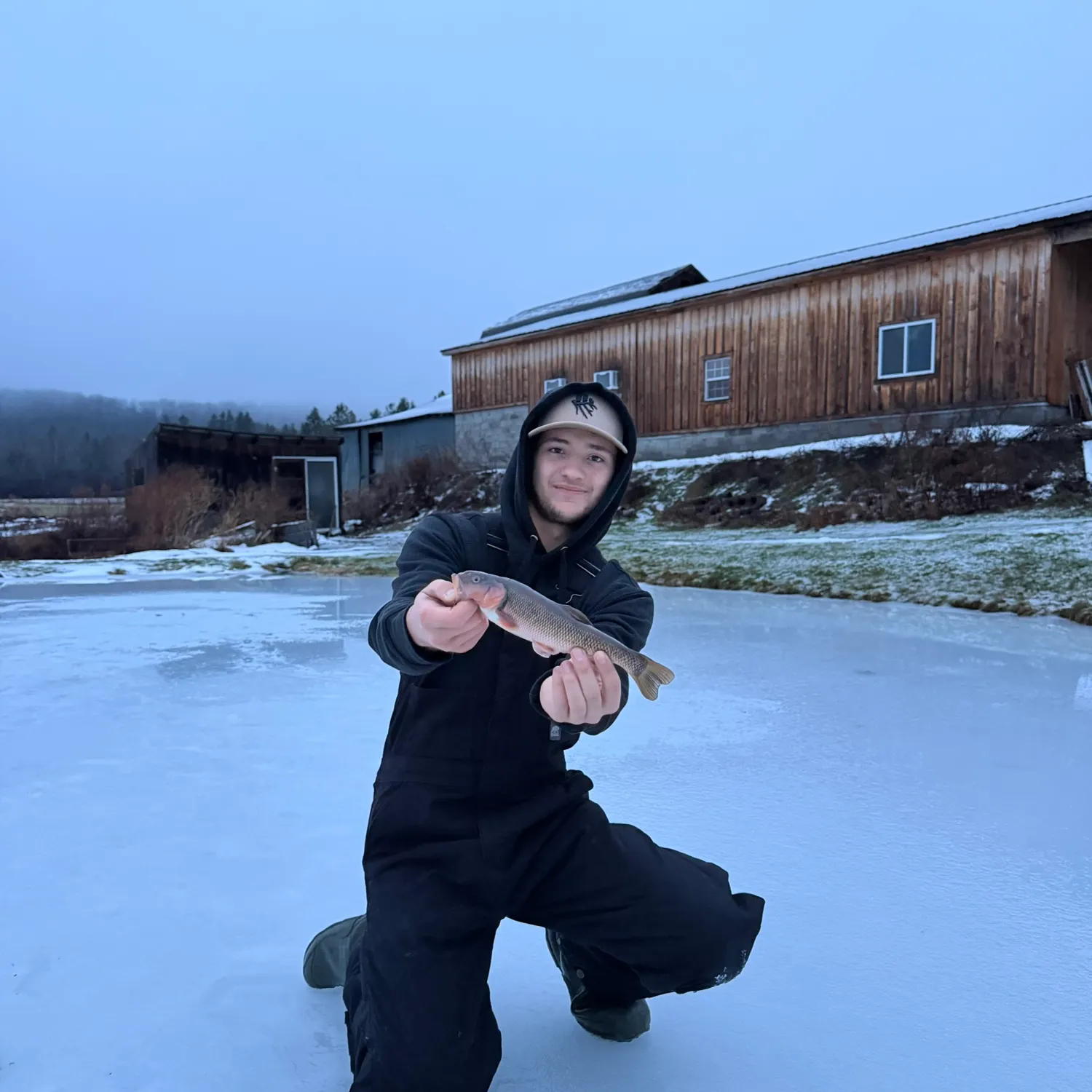 The most recent Fallfish catches on Fishbrain