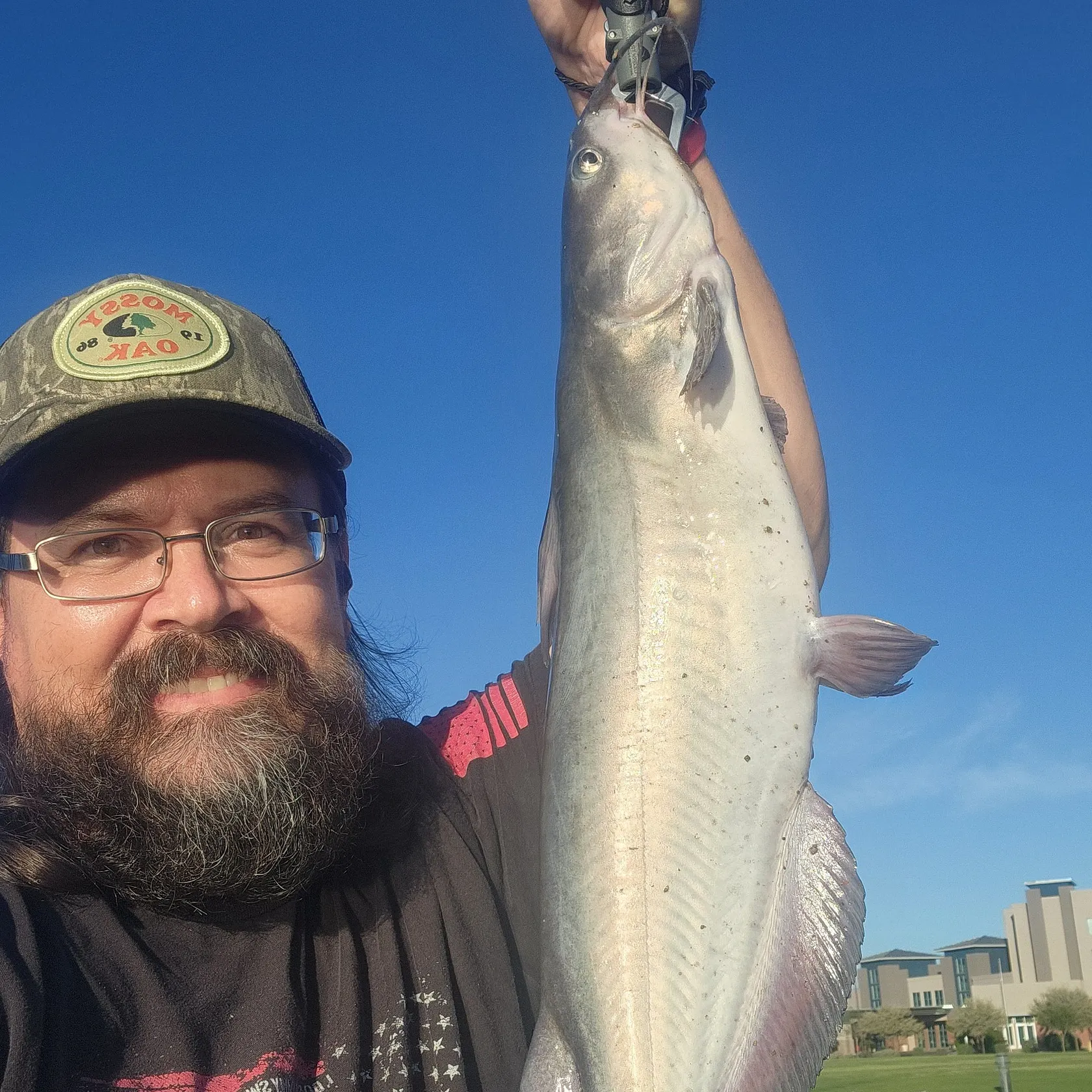Channel catfish caught on Fishbrain