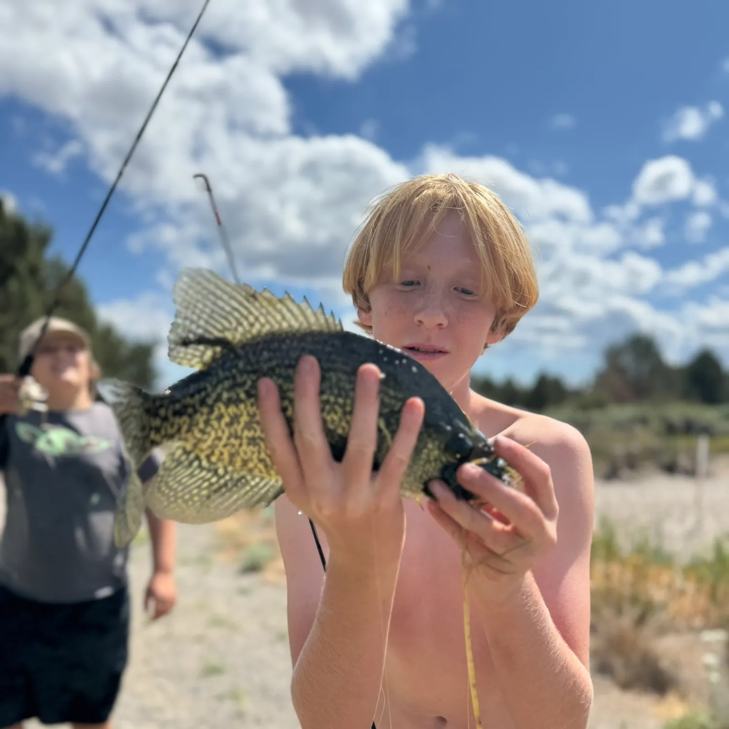 The most recent Black crappie catches on Fishbrain