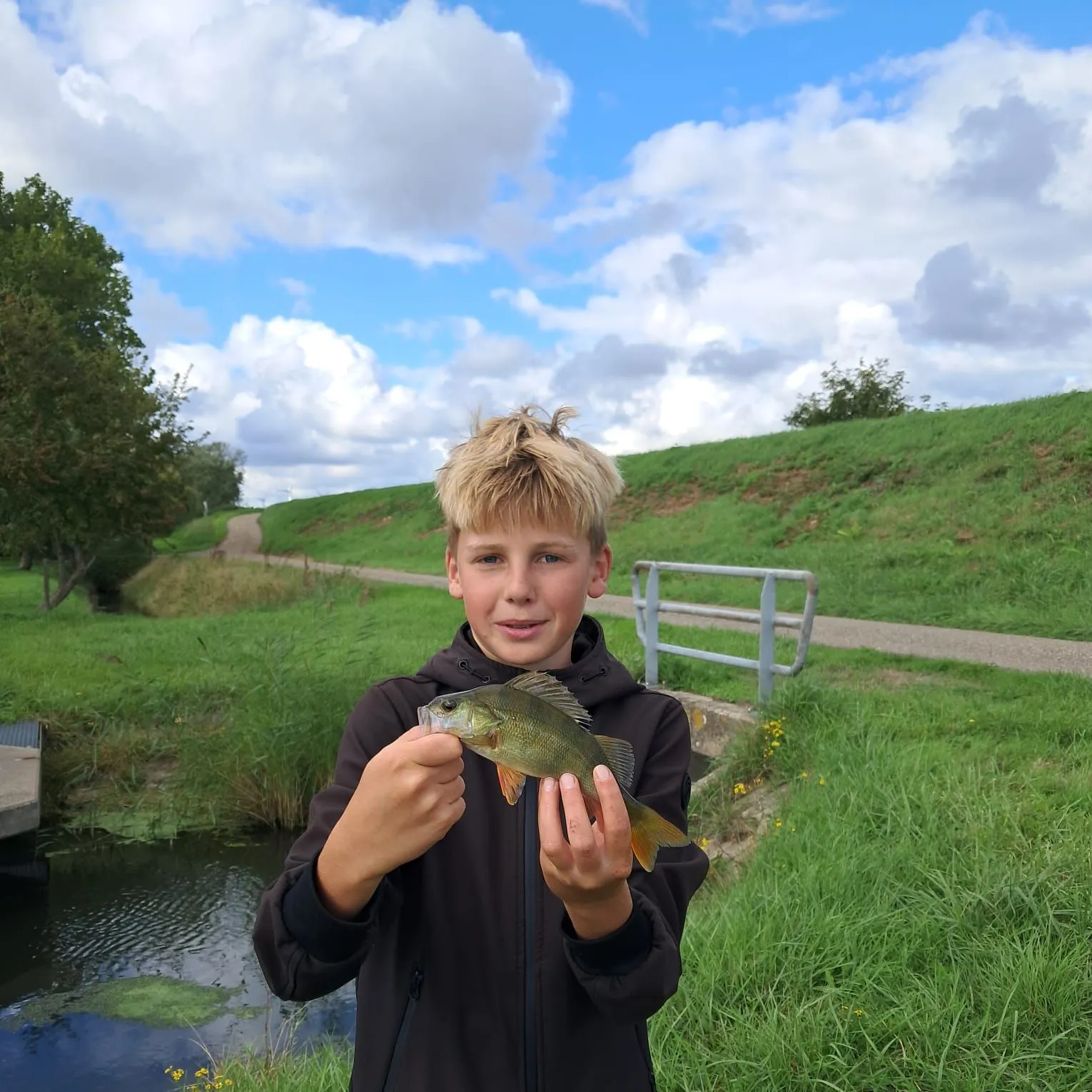 European perch caught on Fishbrain