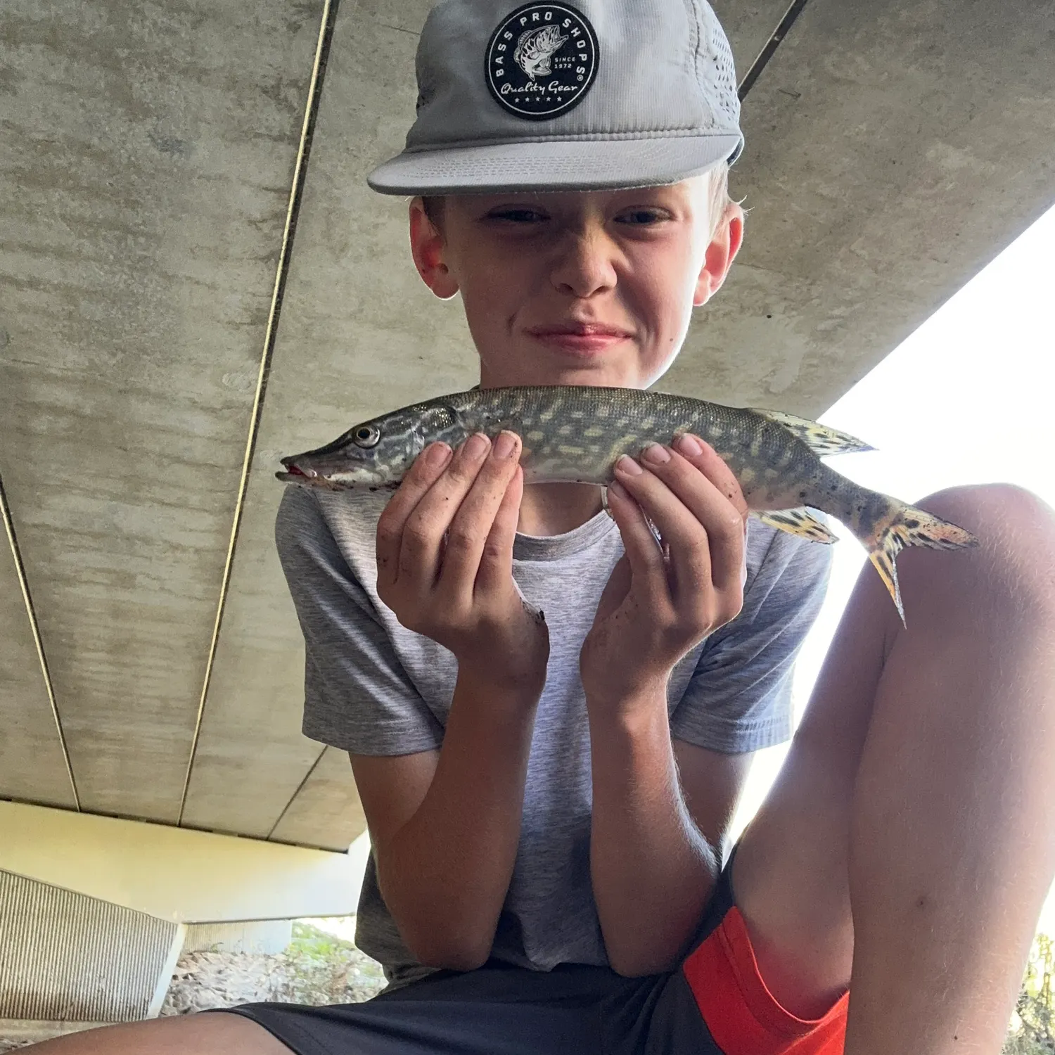 Northern pike caught on Fishbrain