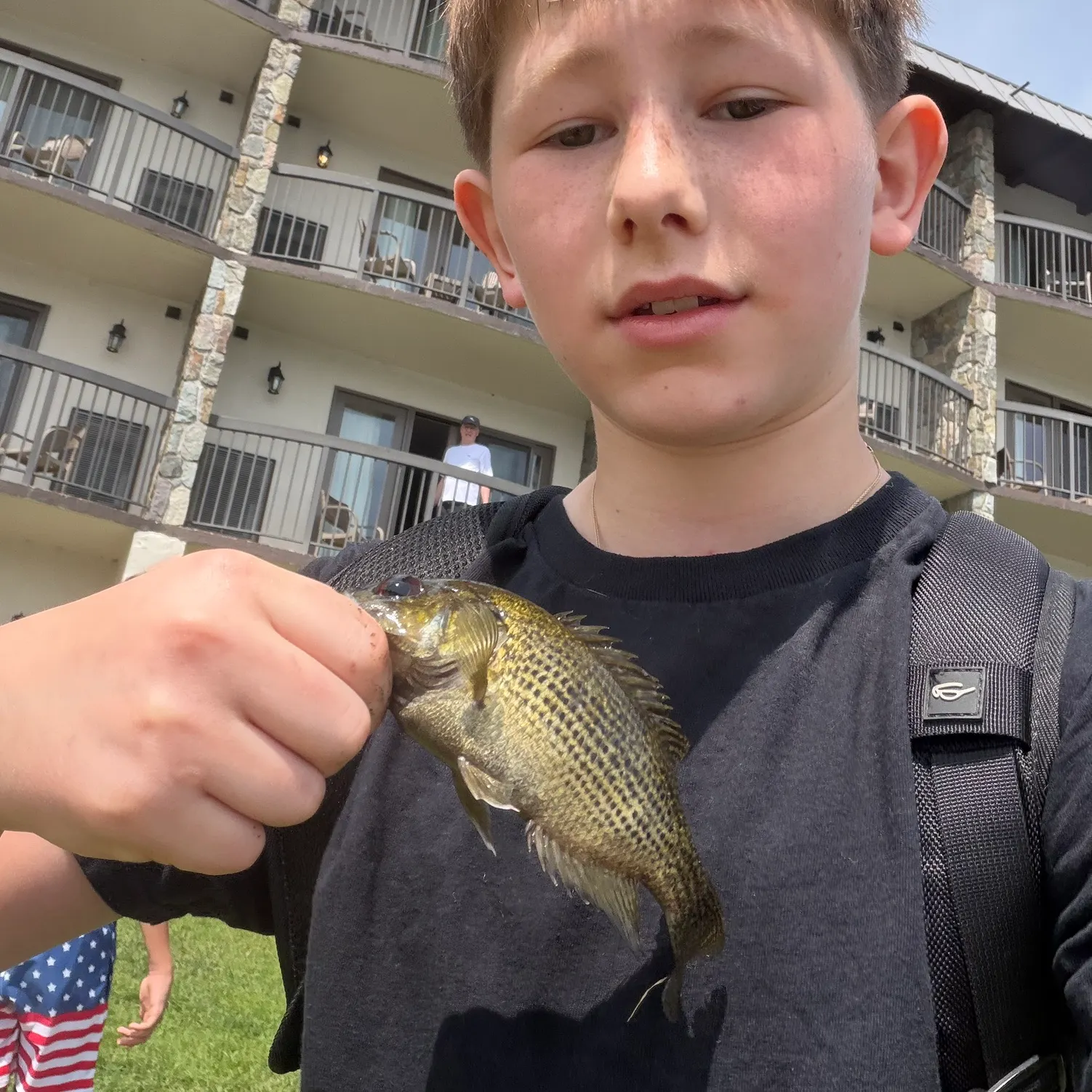 The most recent Roanoke bass catches on Fishbrain