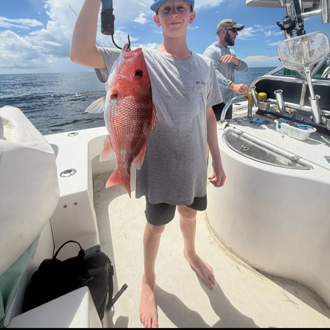 The most recent Northern red snapper catches on Fishbrain