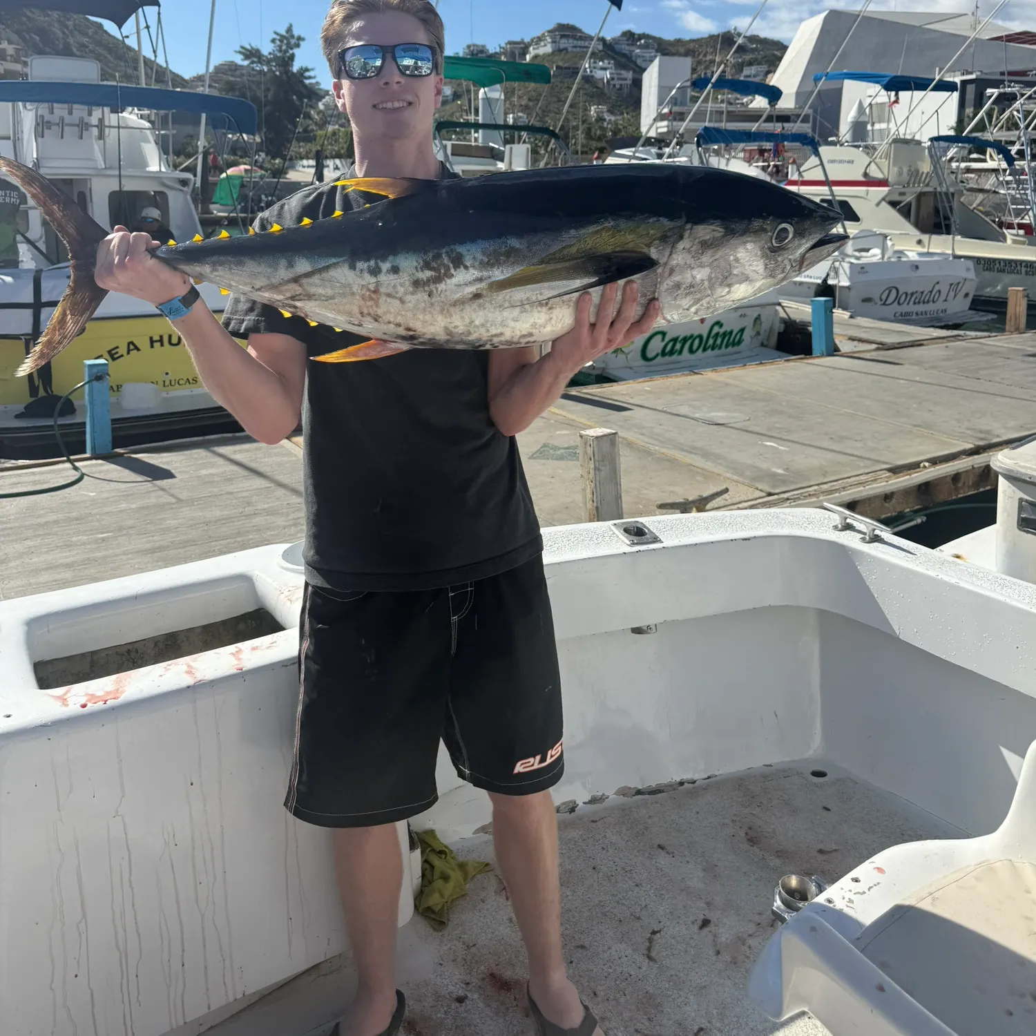 The most recent Yellowfin tuna catches on Fishbrain