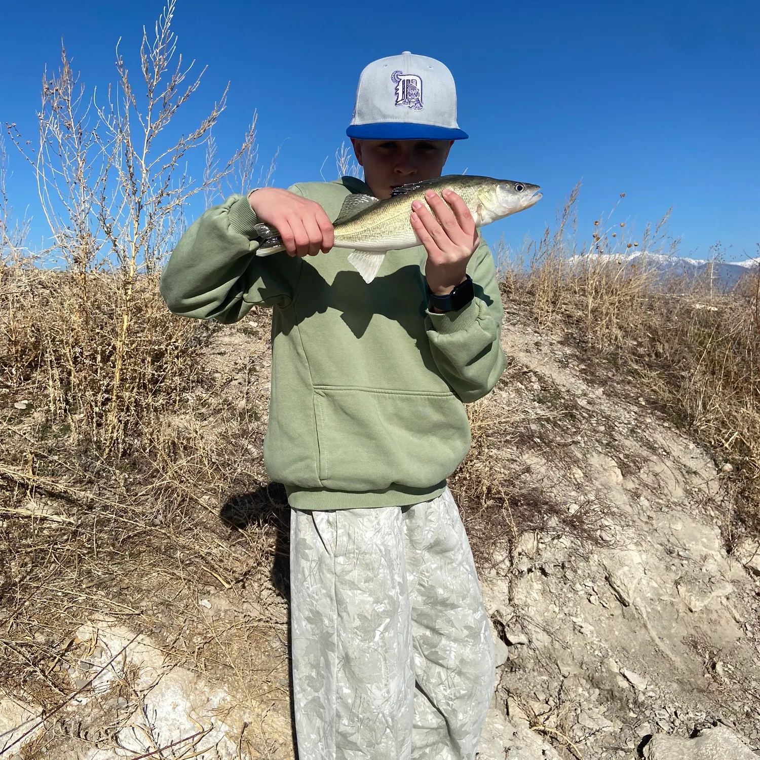 The most recent Walleye catches on Fishbrain