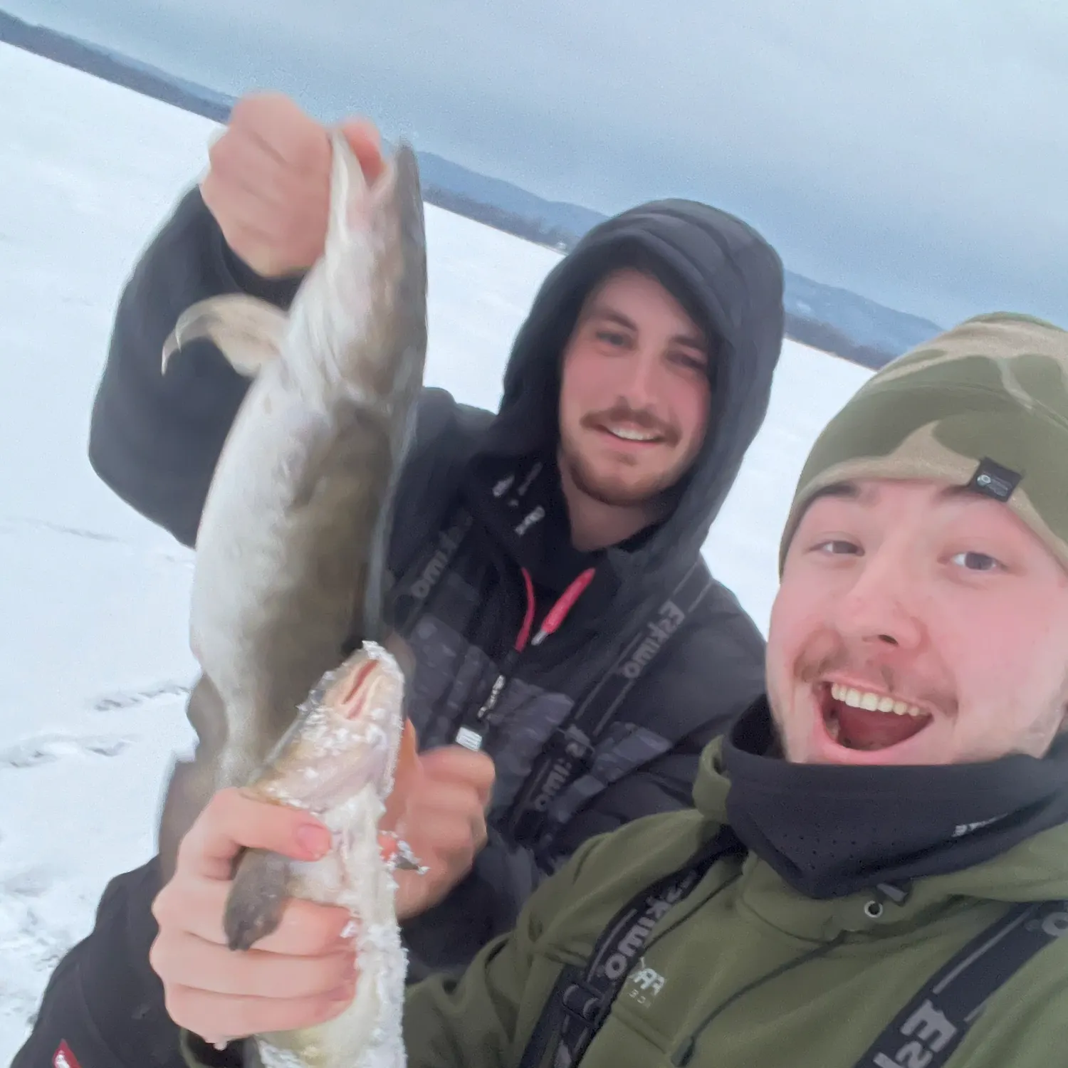 The most recent Burbot catches on Fishbrain