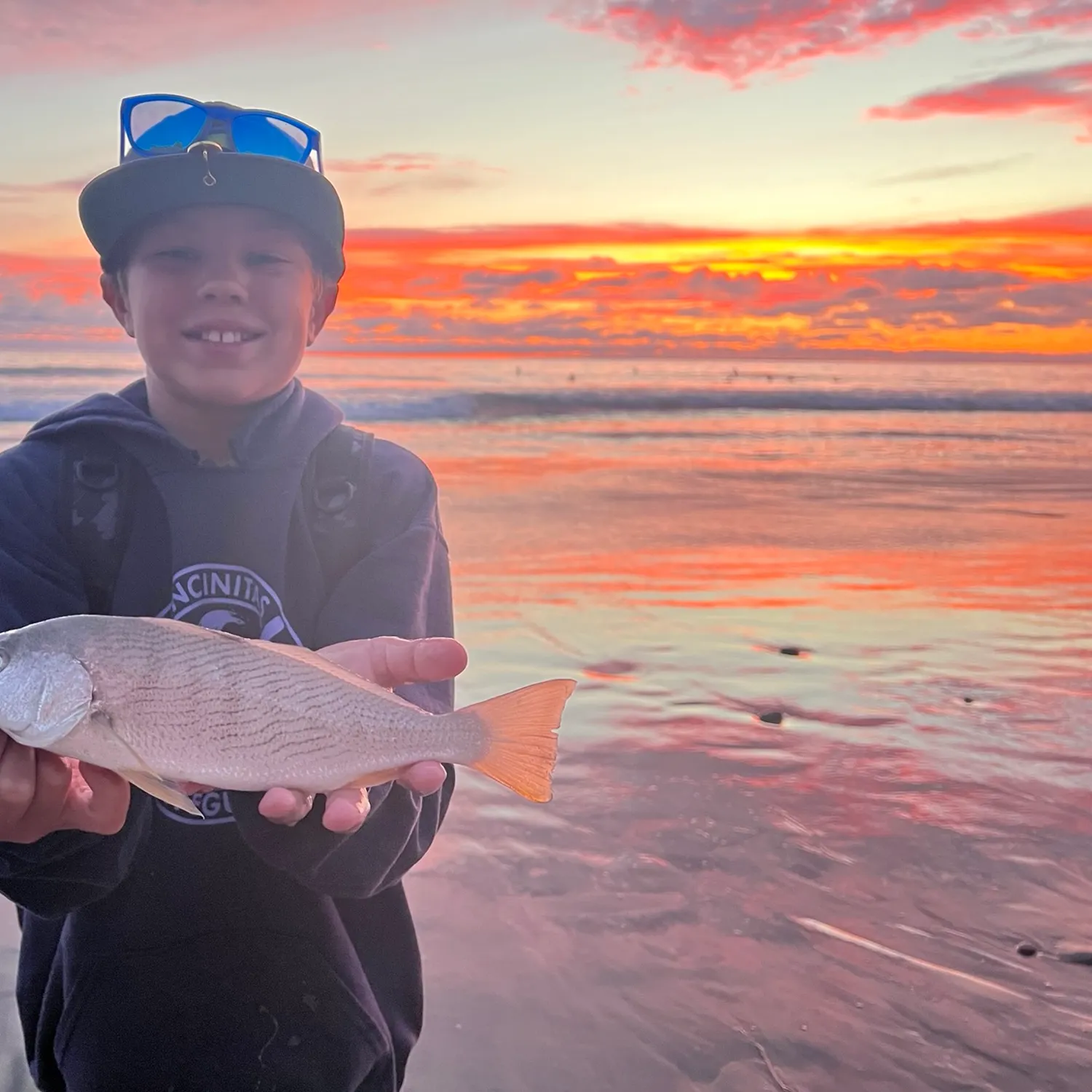 Yellowfin croaker caught on Fishbrain