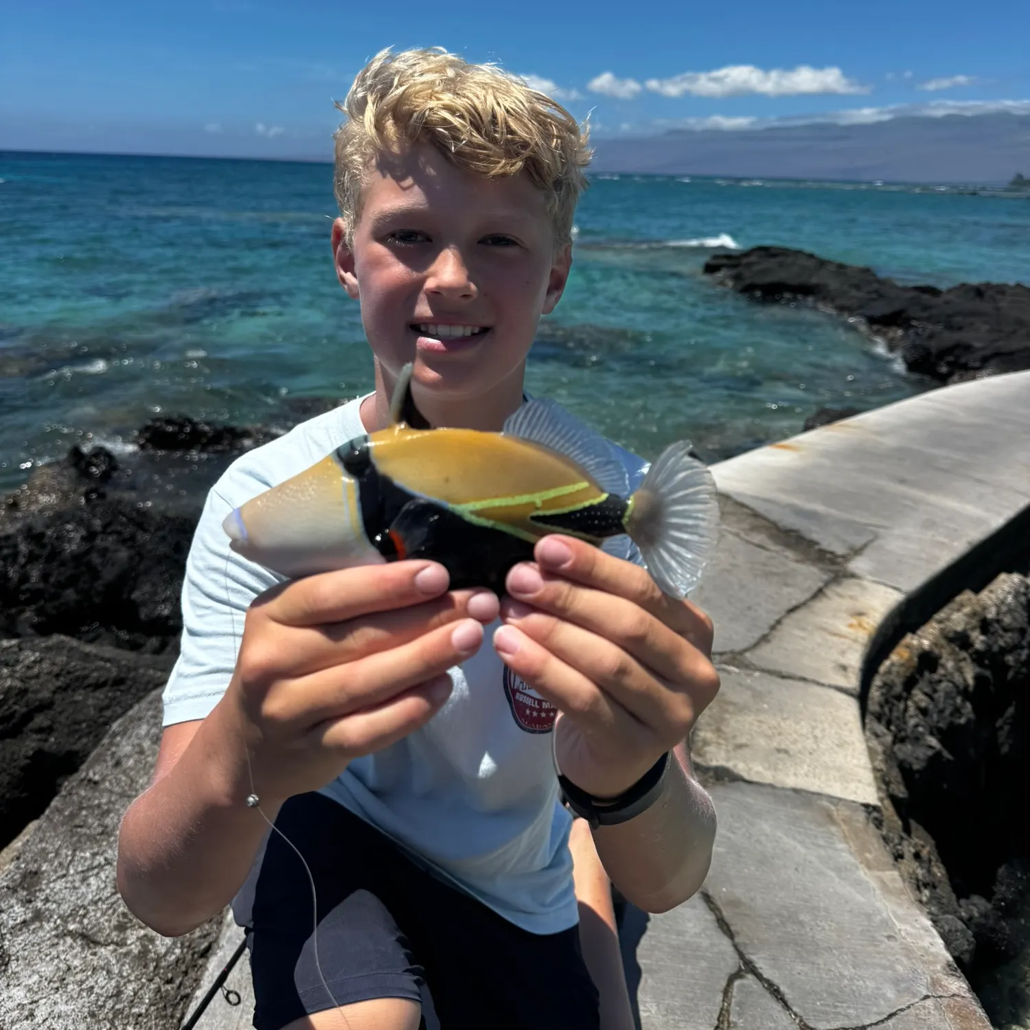 The most recent Wedge-tail triggerfish catches on Fishbrain