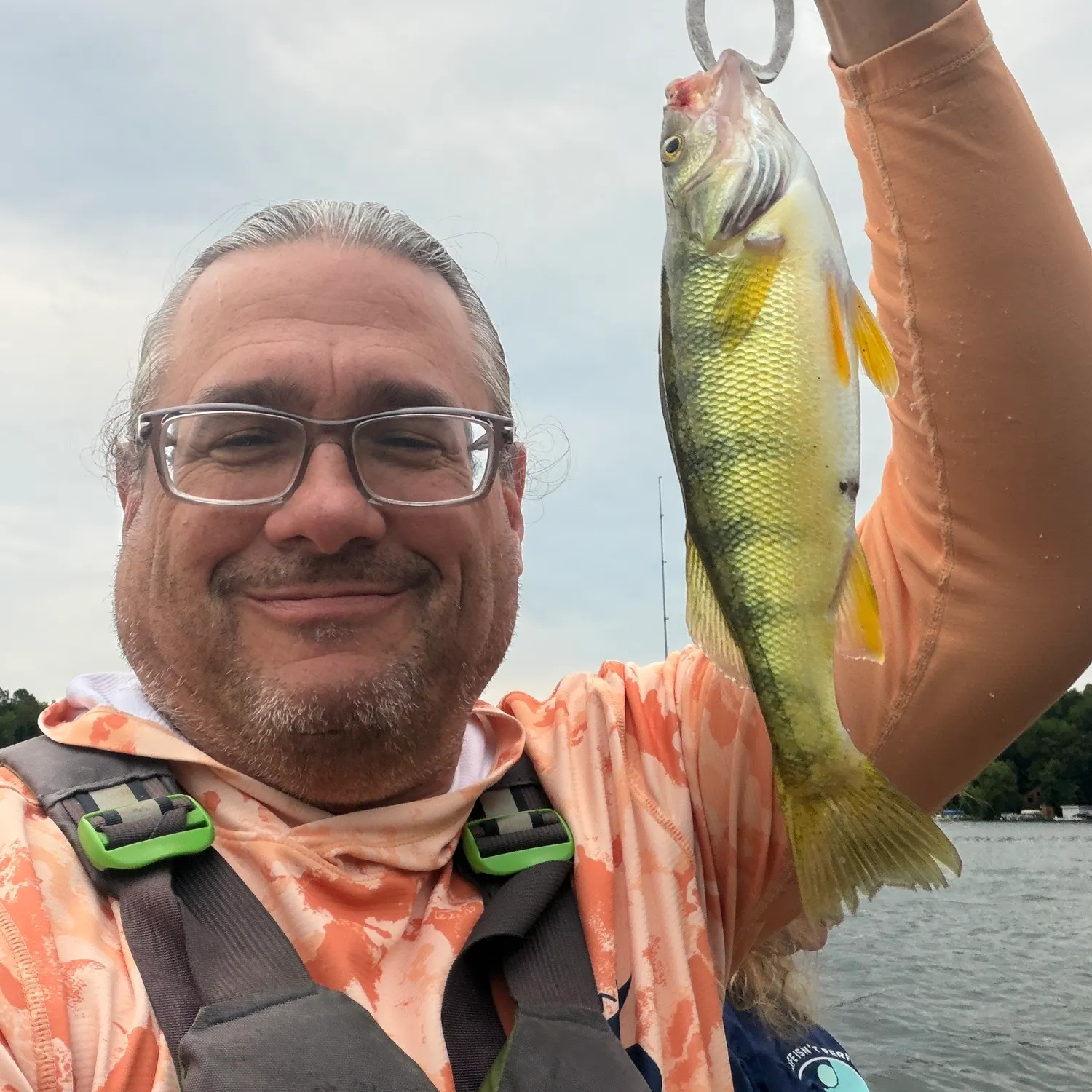 Yellow perch caught on Fishbrain