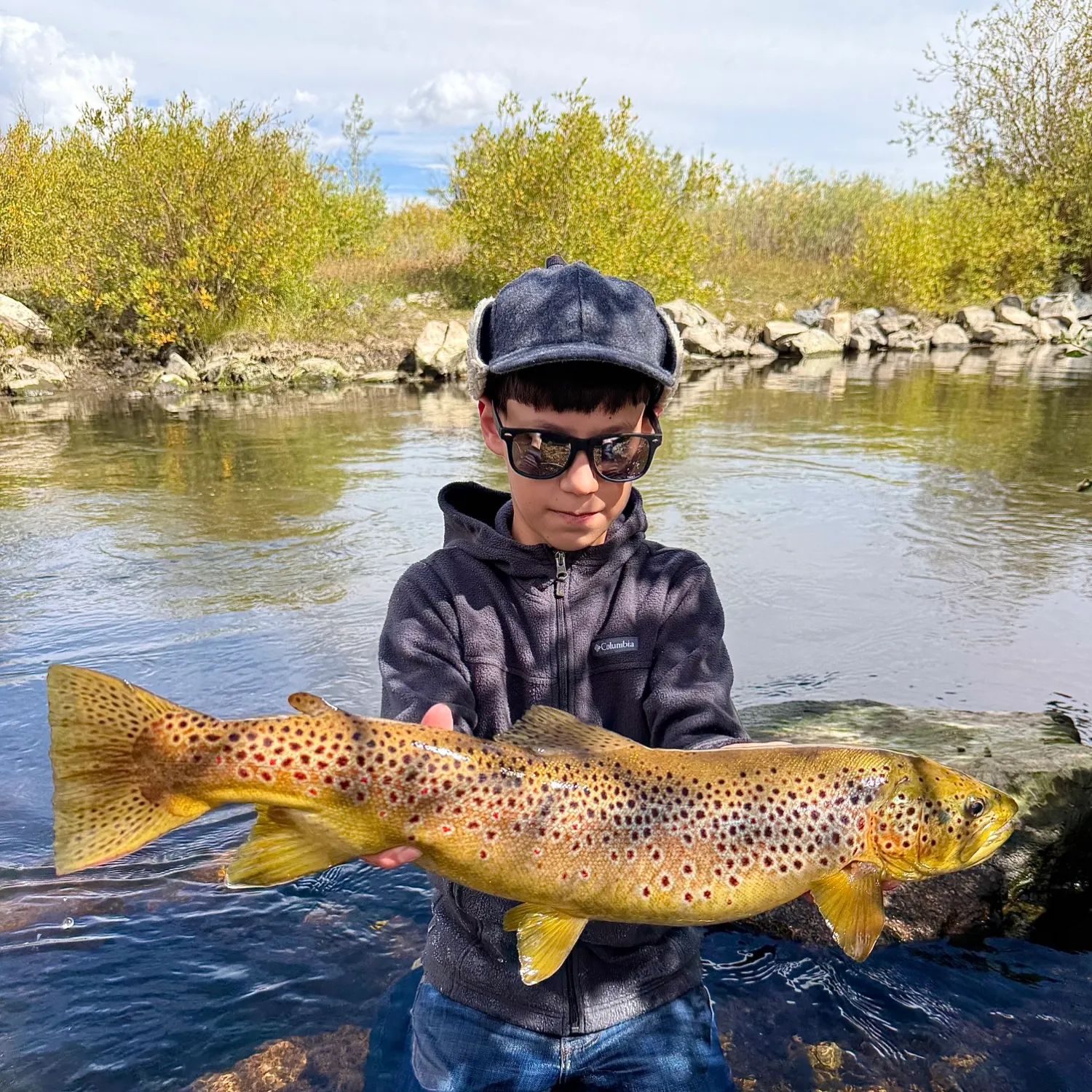 Brown trout caught on Fishbrain