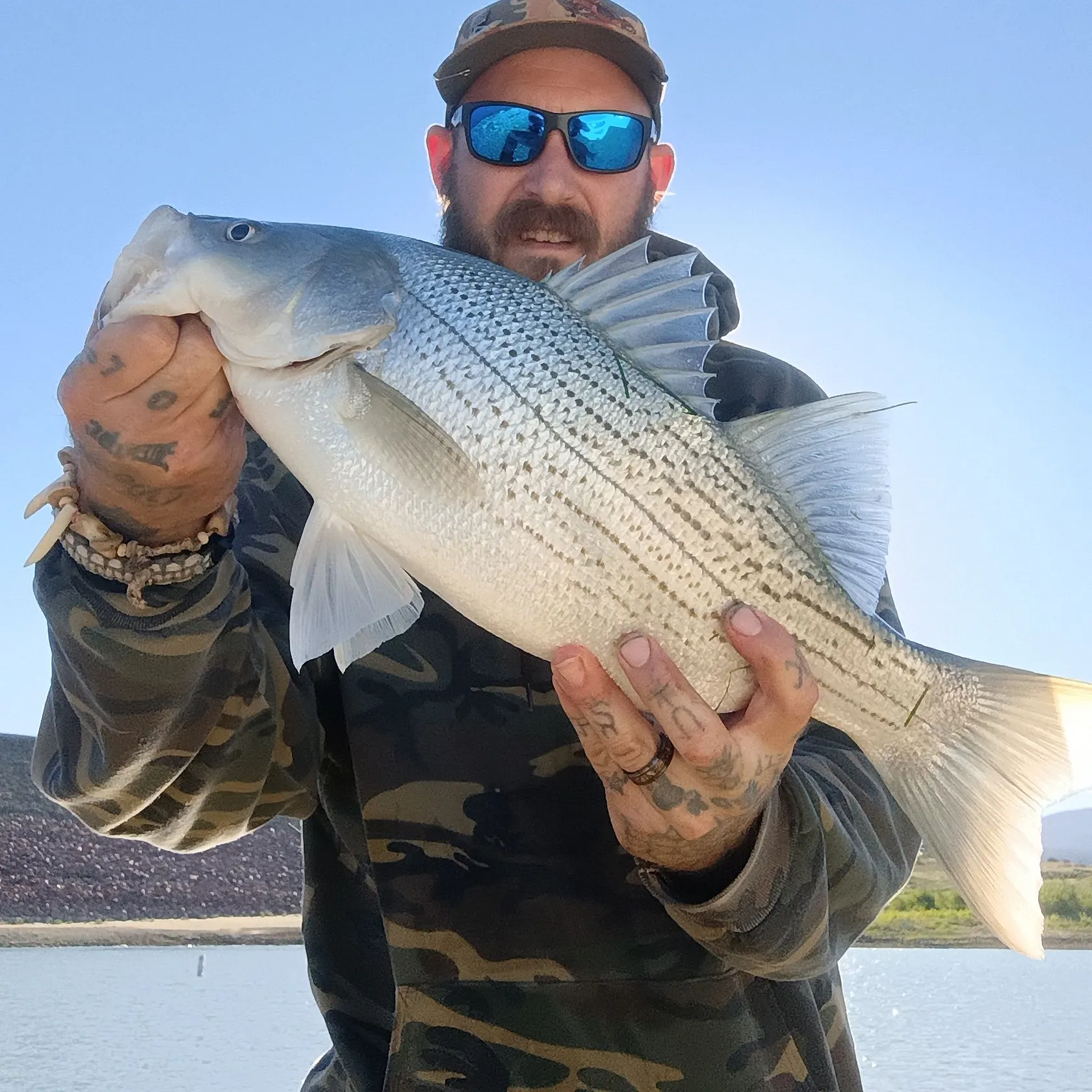 Wiper caught on Fishbrain