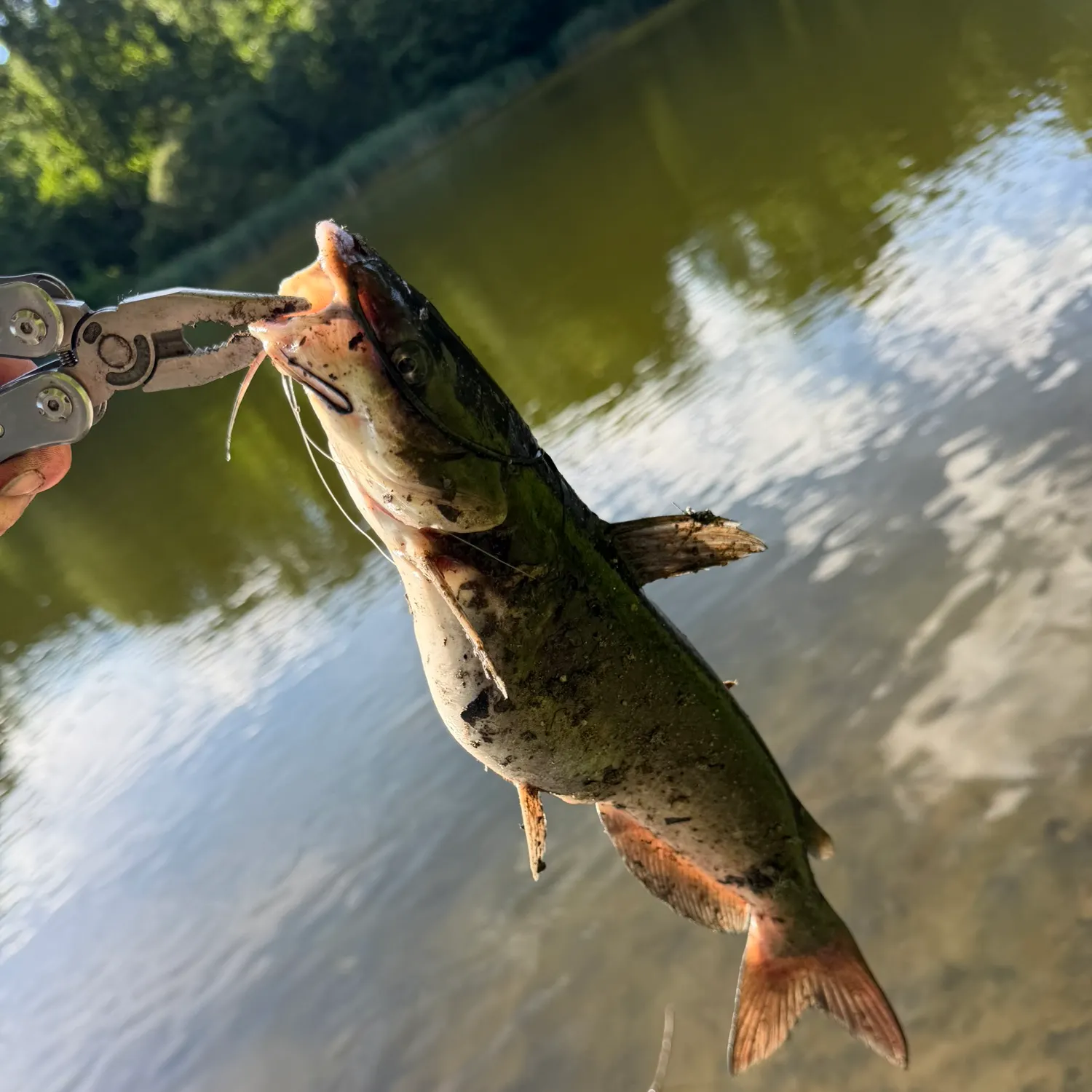 catch