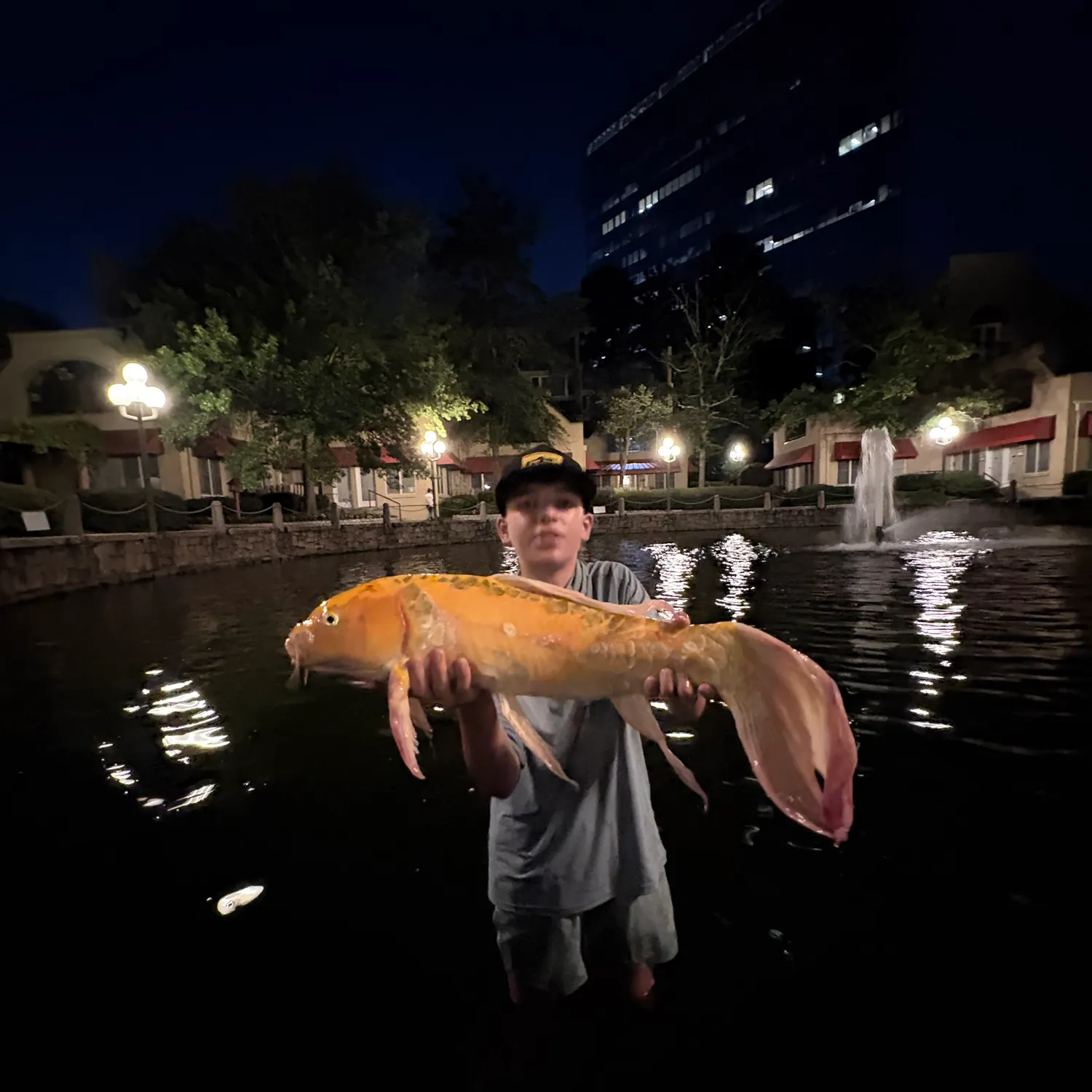 The most recent Koi carp catches on Fishbrain