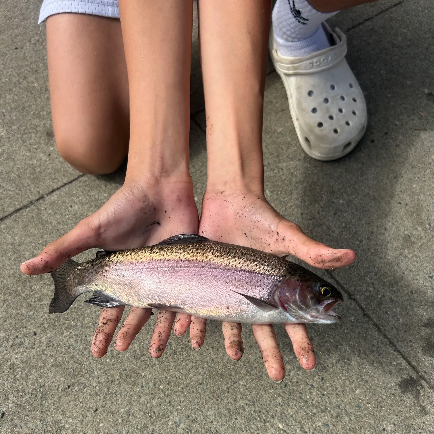 Rainbow trout caught on Fishbrain