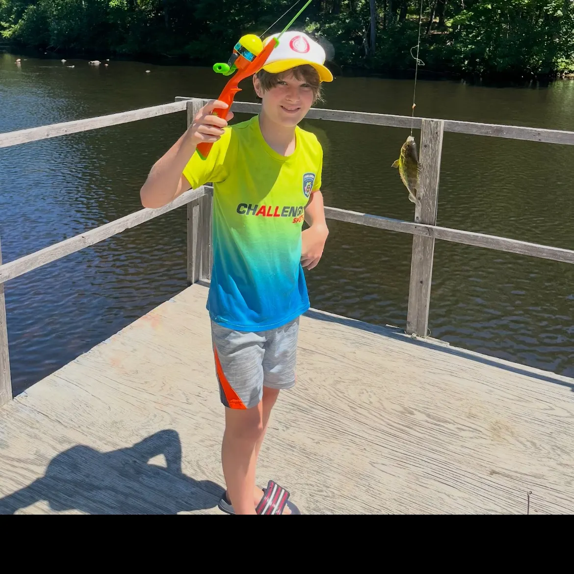 The most recent Bluegill catches on Fishbrain