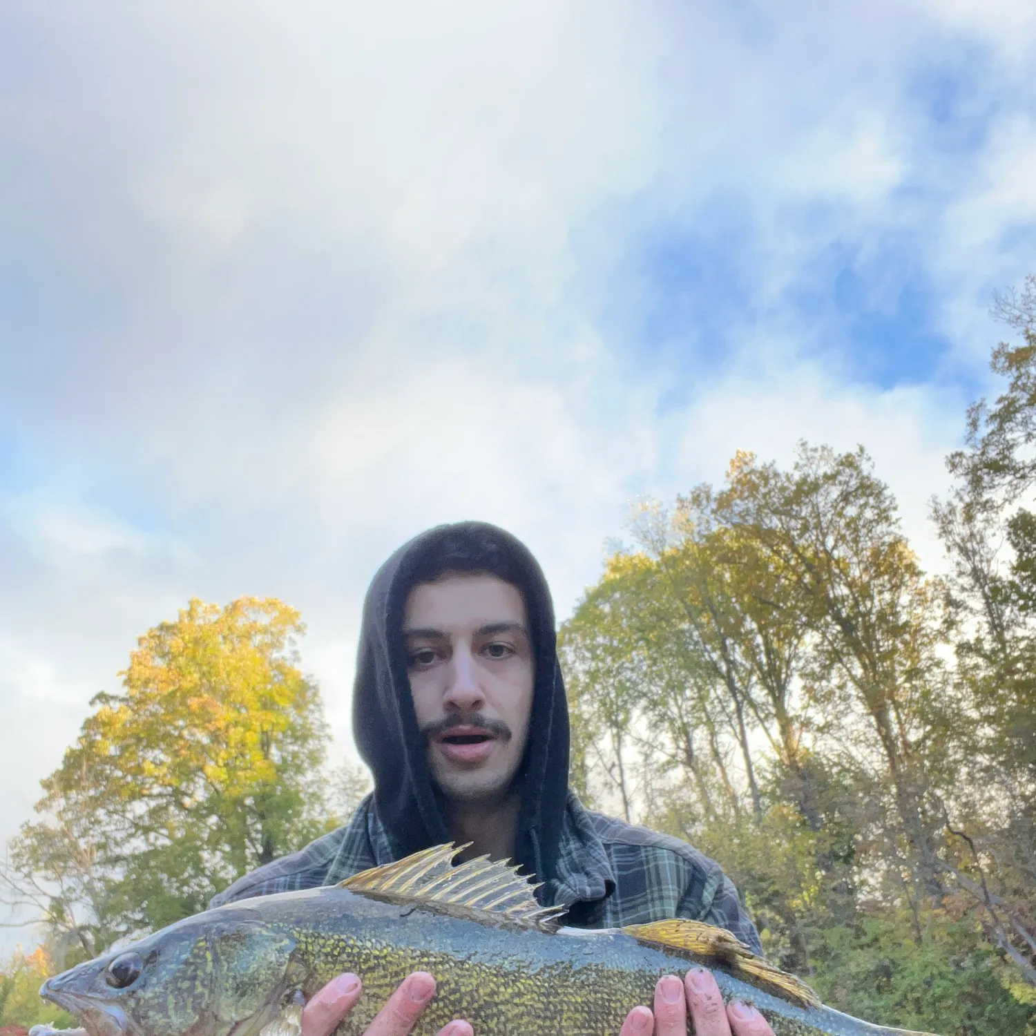 Walleye caught on Fishbrain