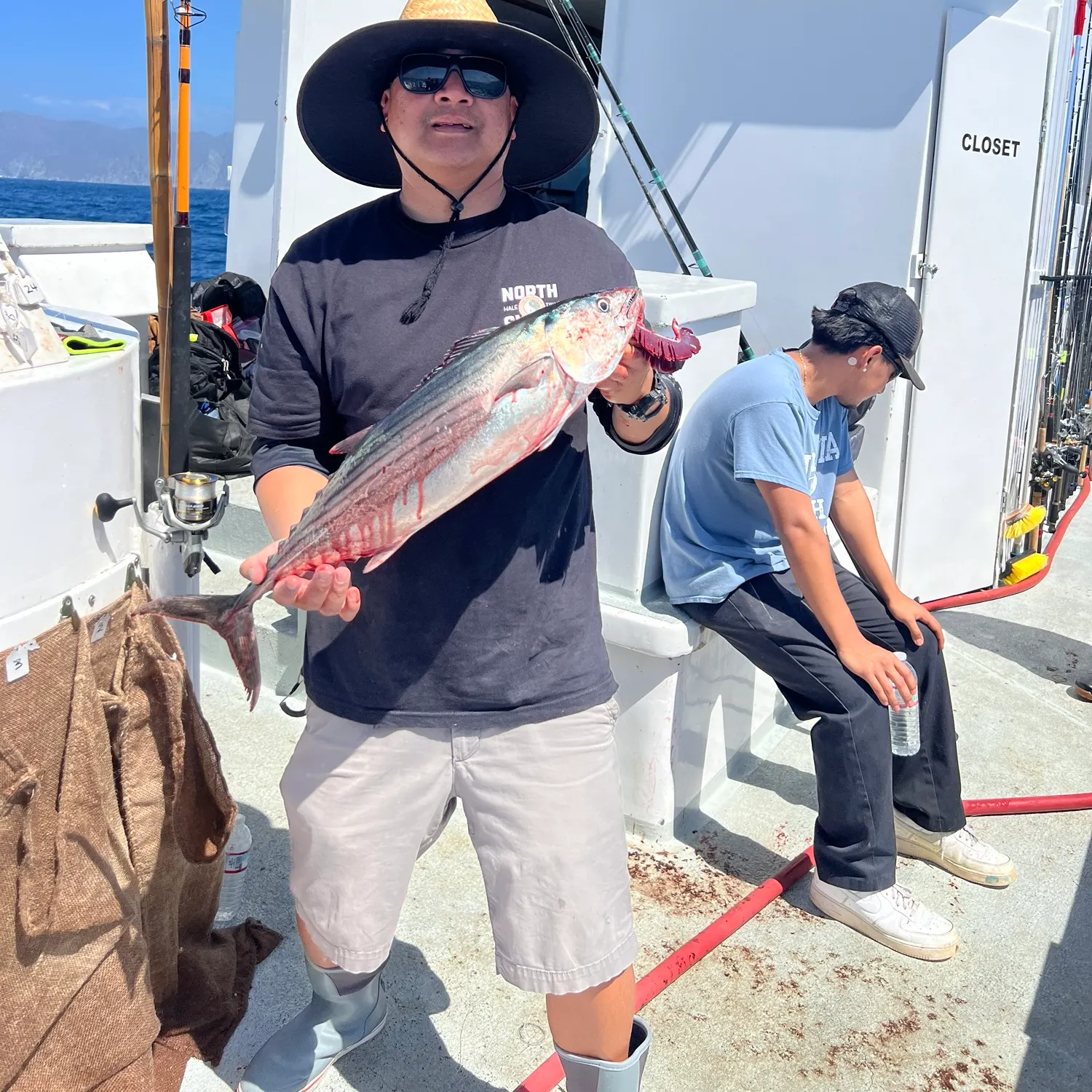 Pacific bonito caught on Fishbrain