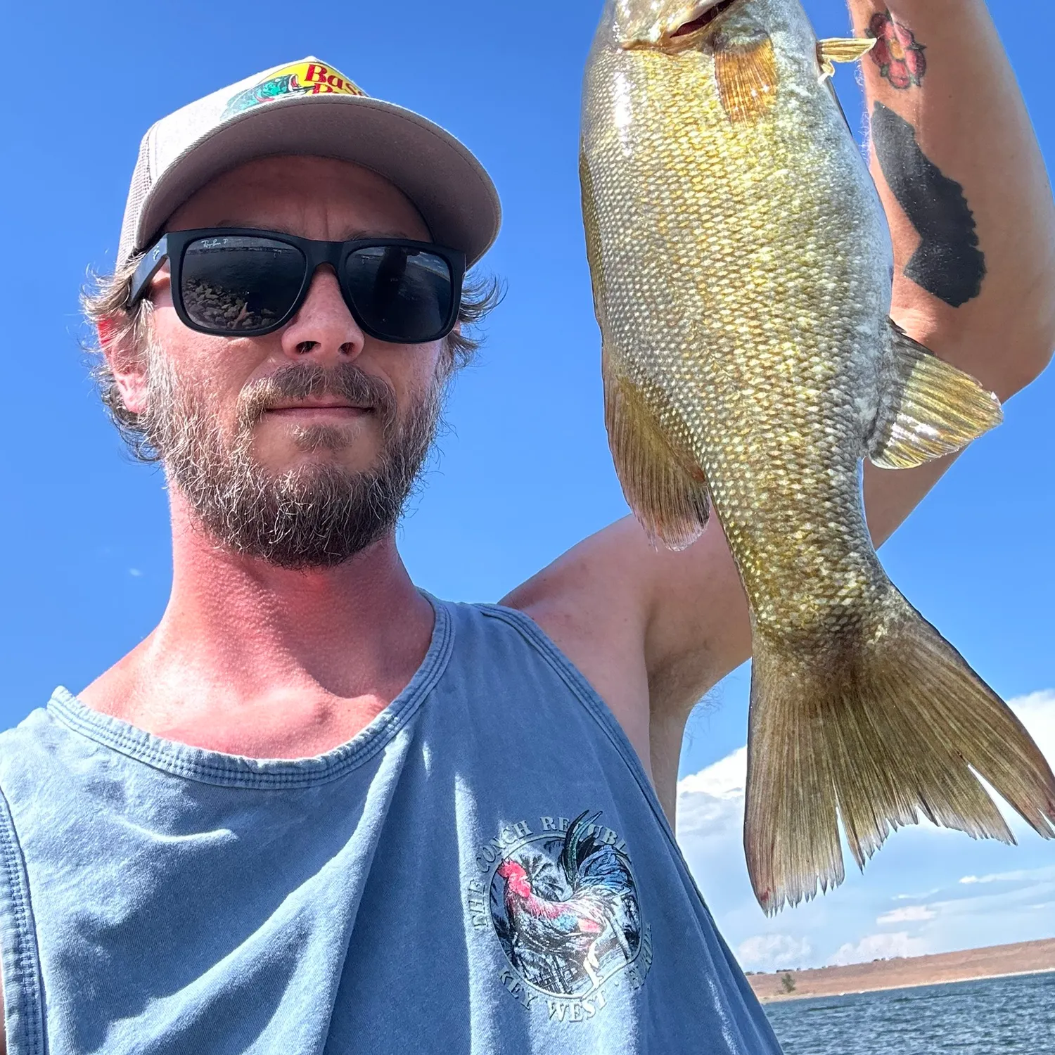 Smallmouth bass caught on Fishbrain
