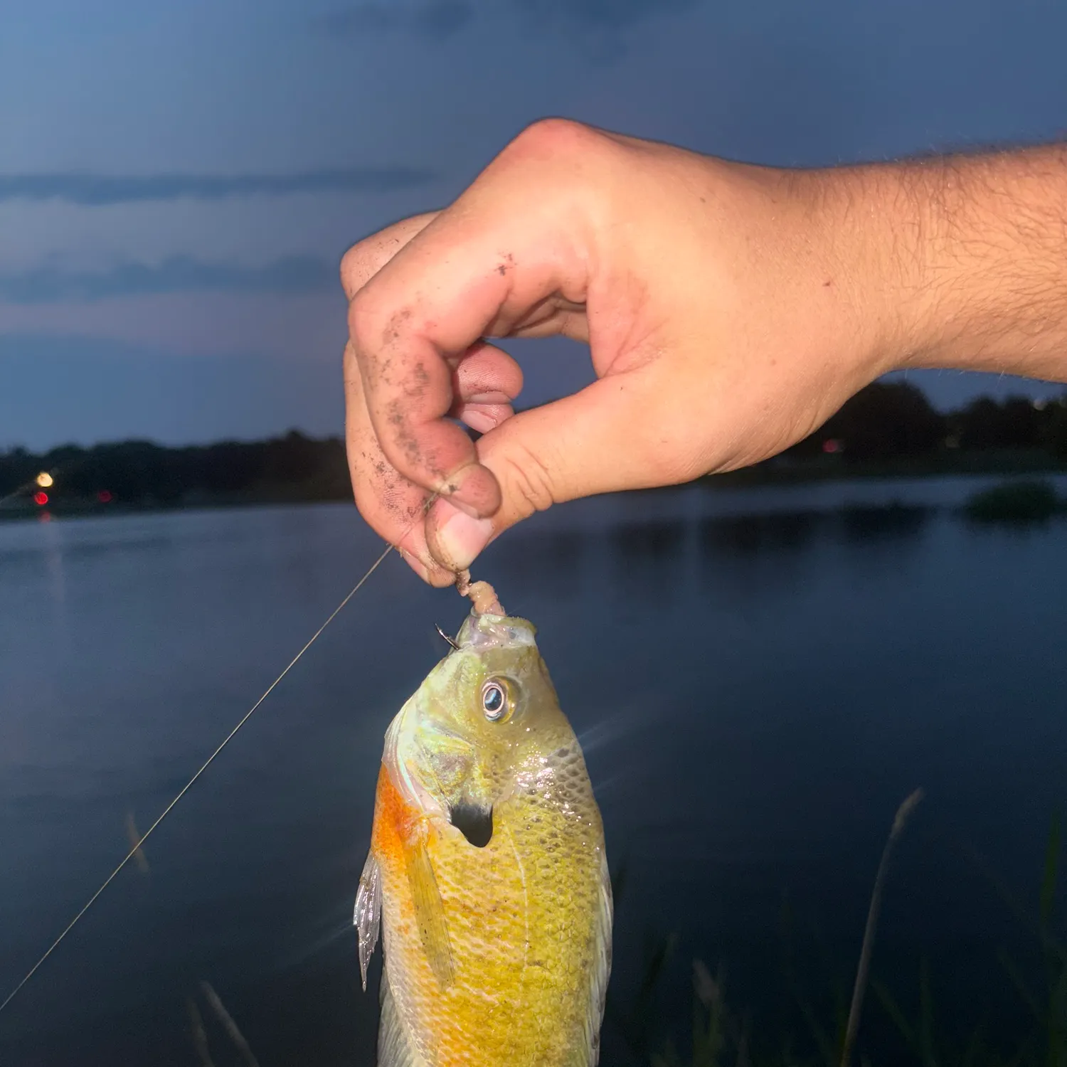 catch