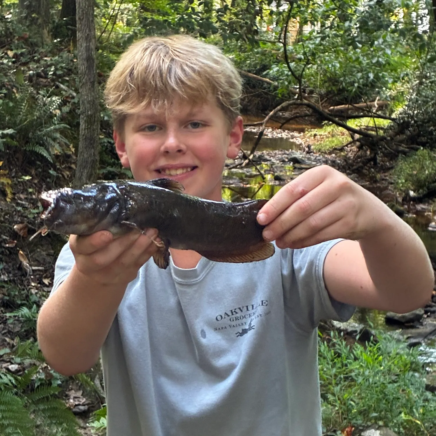 Brown bullhead caught on Fishbrain