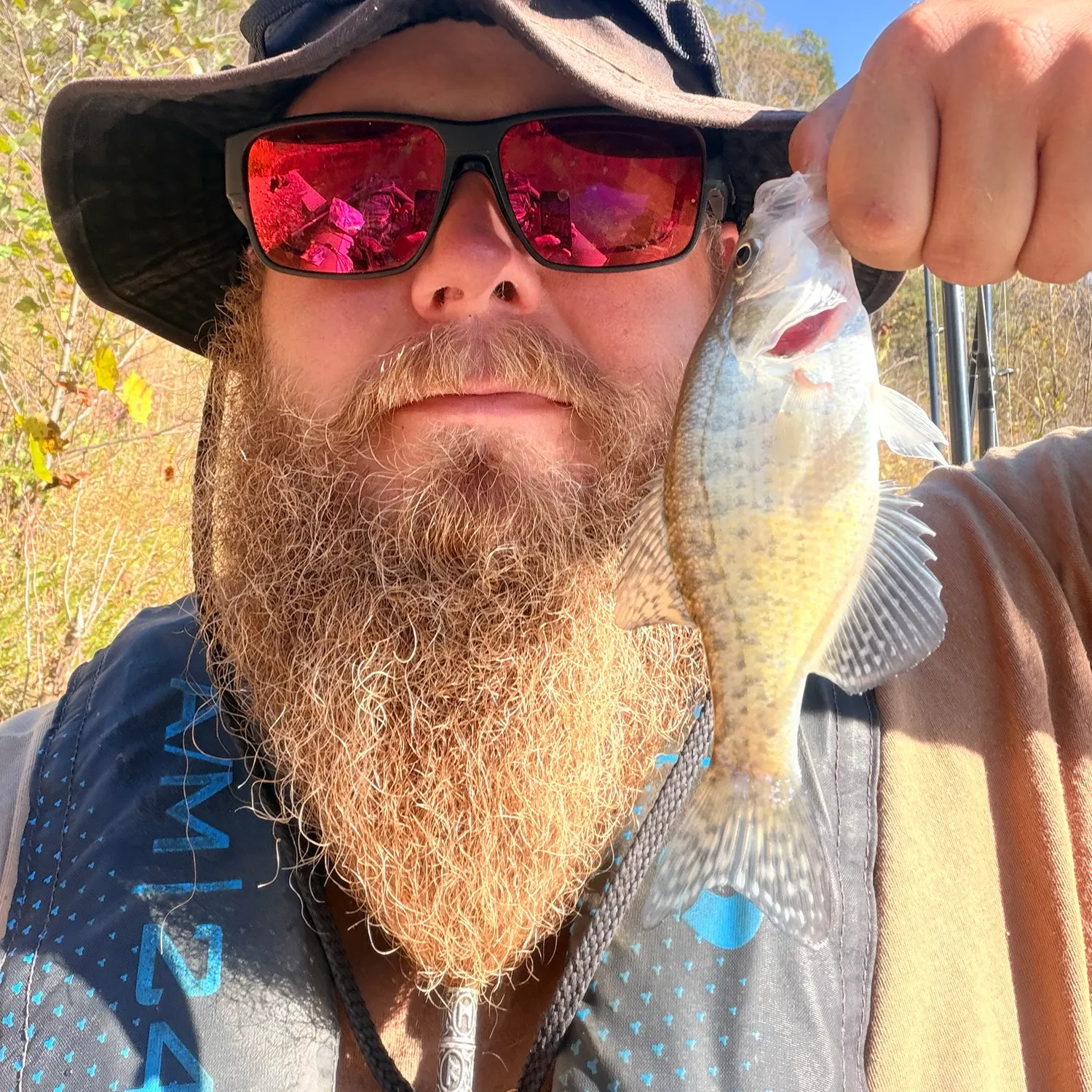 White crappie caught on Fishbrain