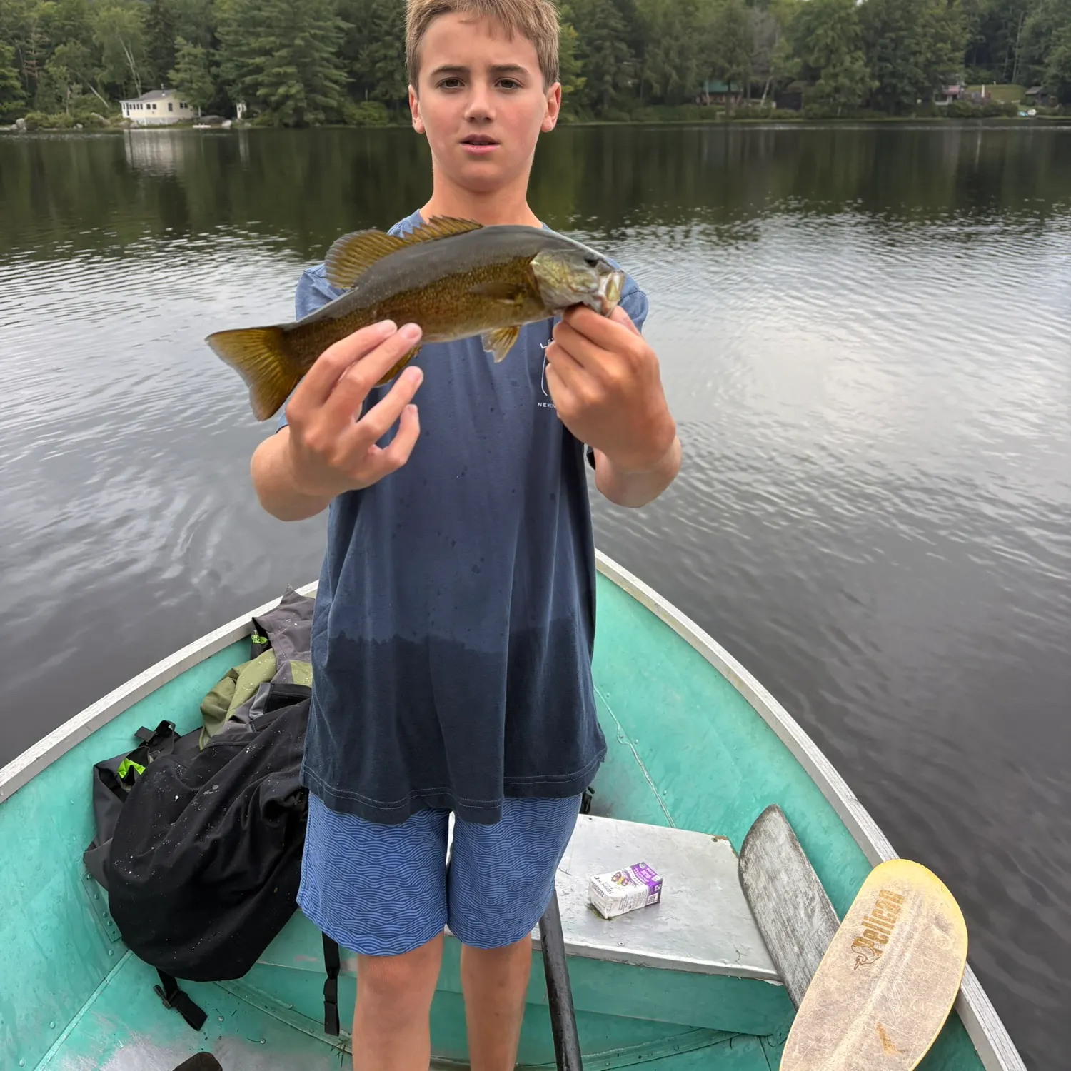 Smallmouth bass caught on Fishbrain