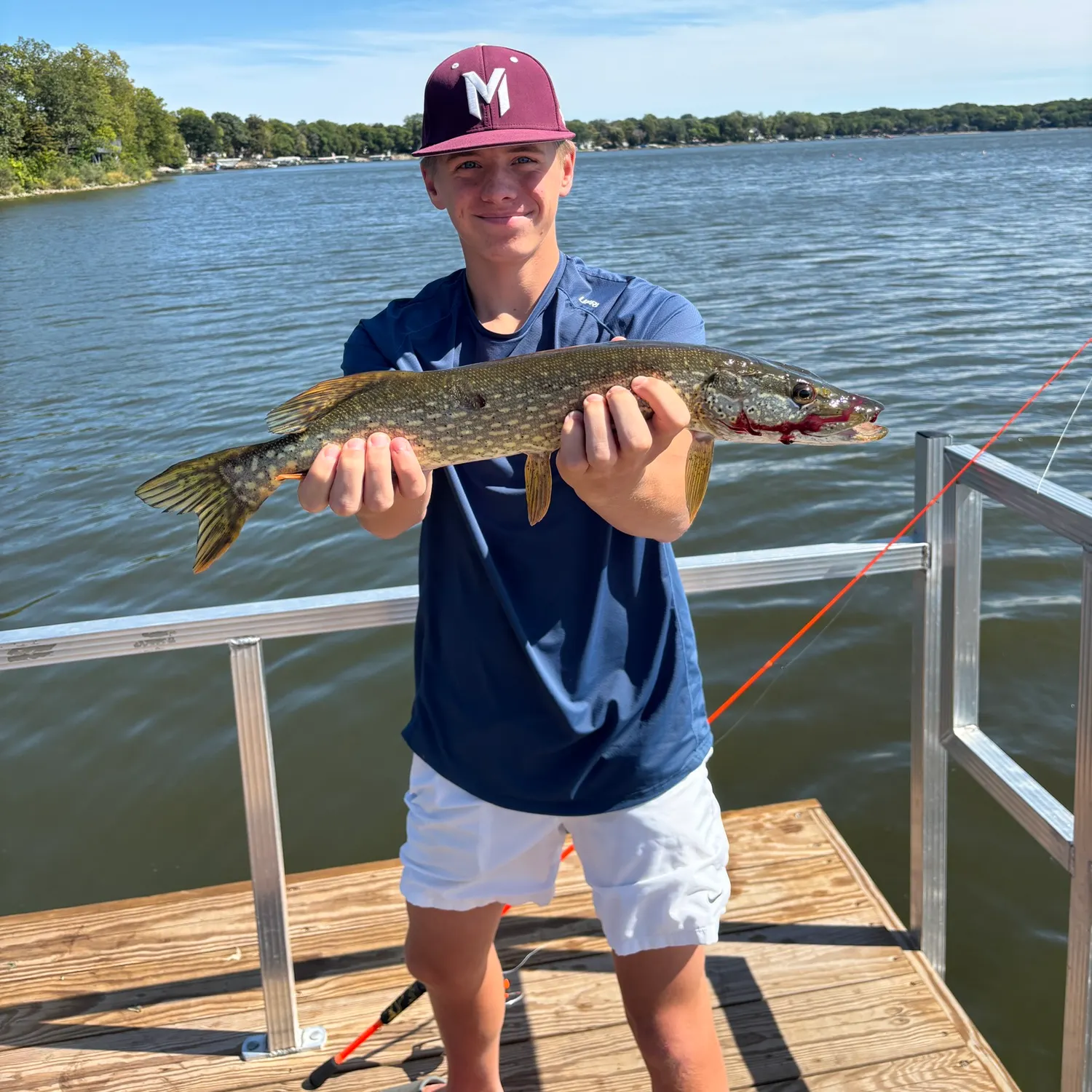 Northern pike caught on Fishbrain