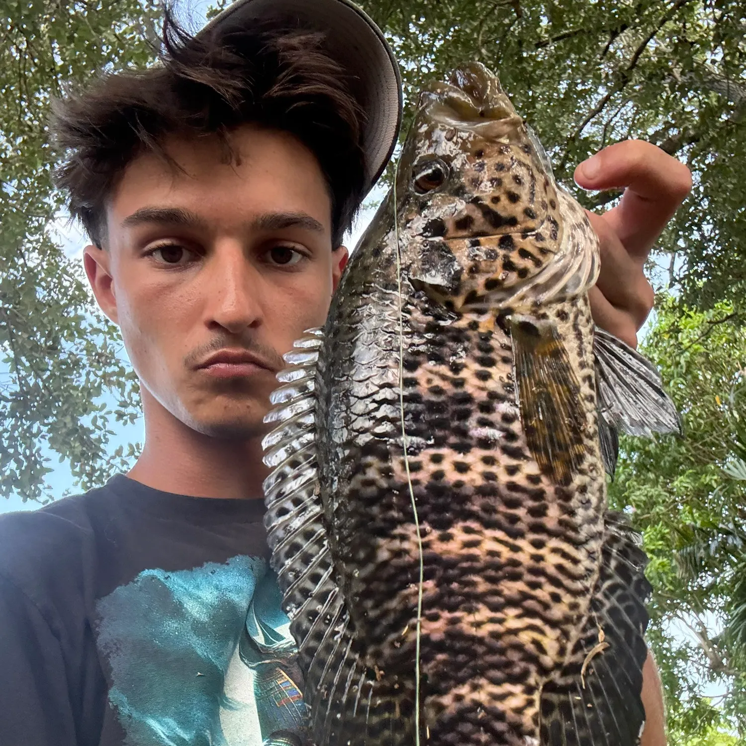 The most recent Jaguar cichlid catches on Fishbrain
