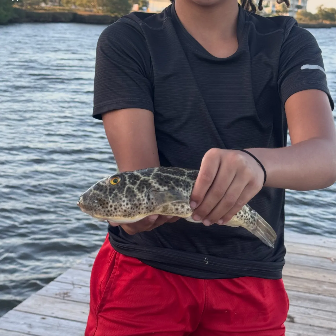 most liked catch image