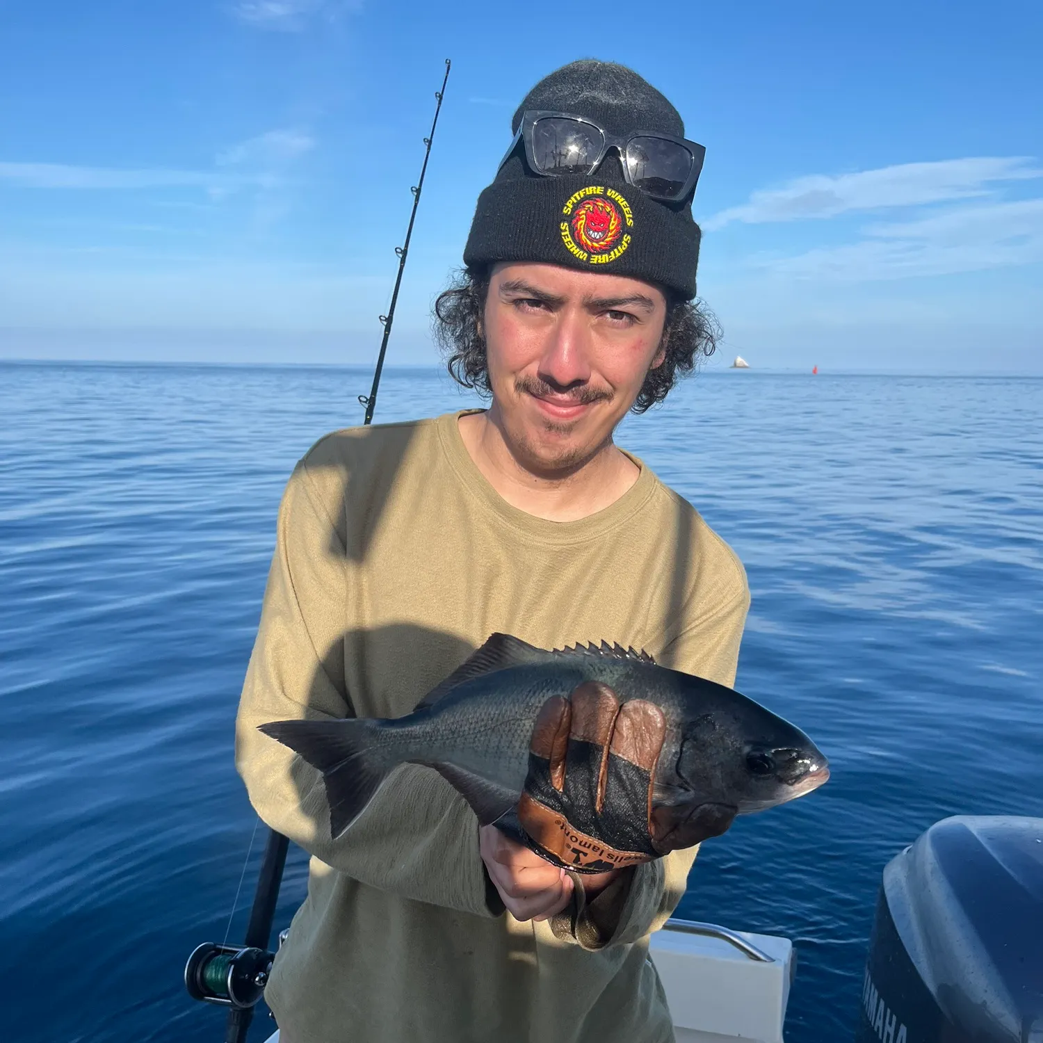 The most recent Halfmoon catches on Fishbrain