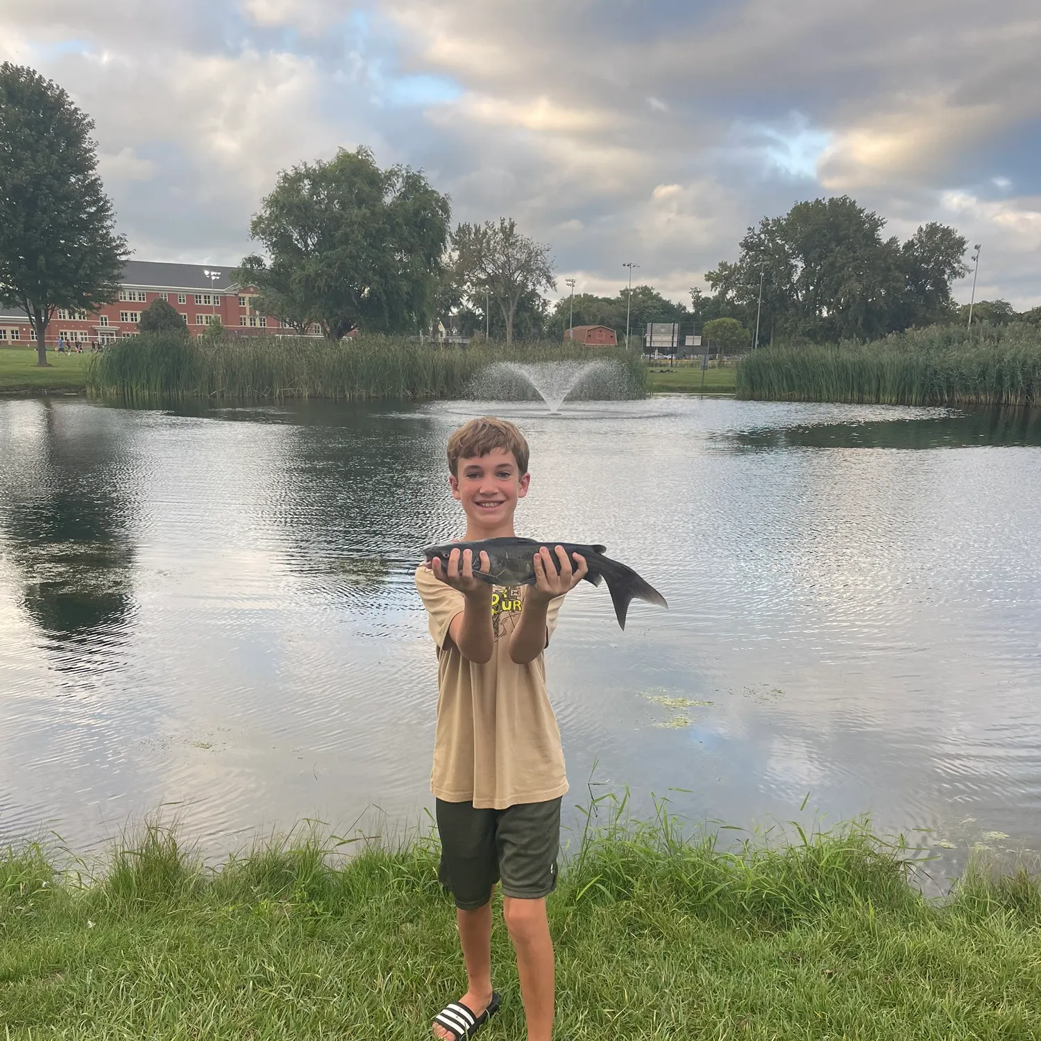 Channel catfish caught on Fishbrain