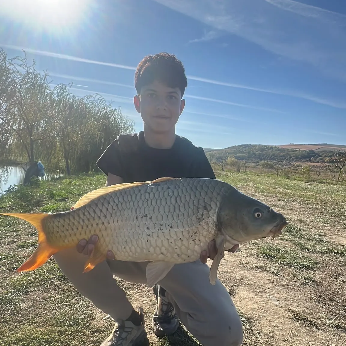 Common carp caught on Fishbrain