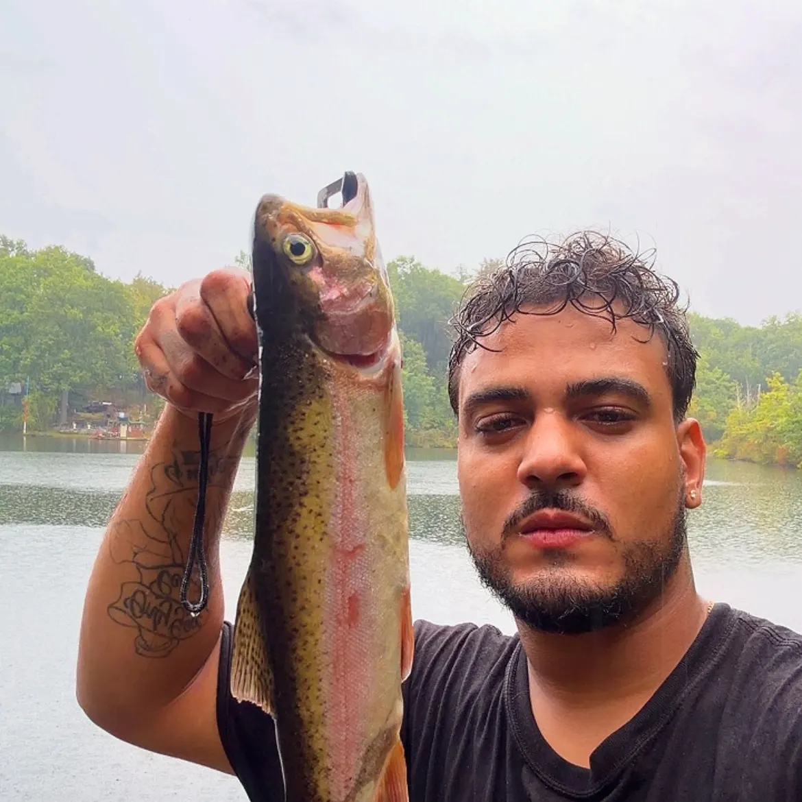 Rainbow trout caught on Fishbrain