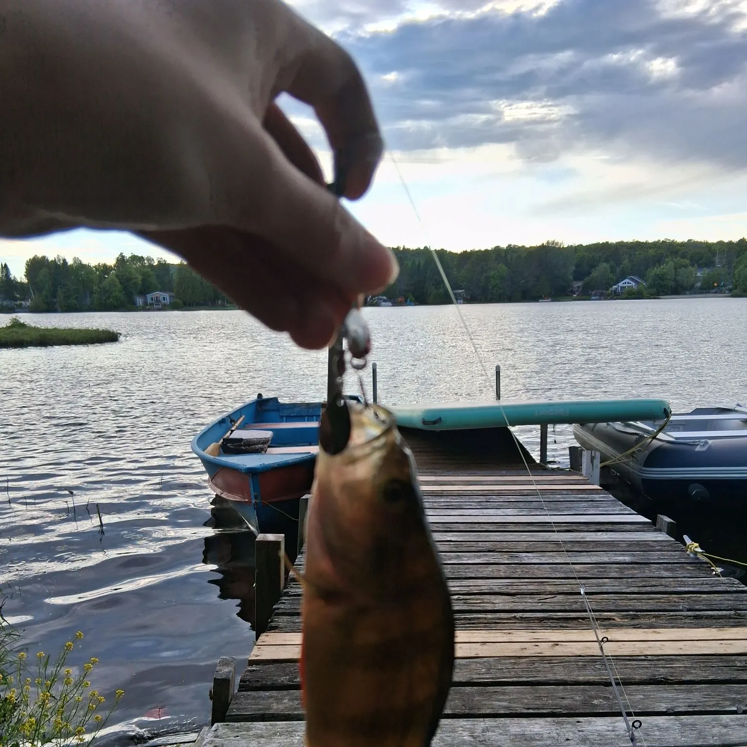 recently logged catches