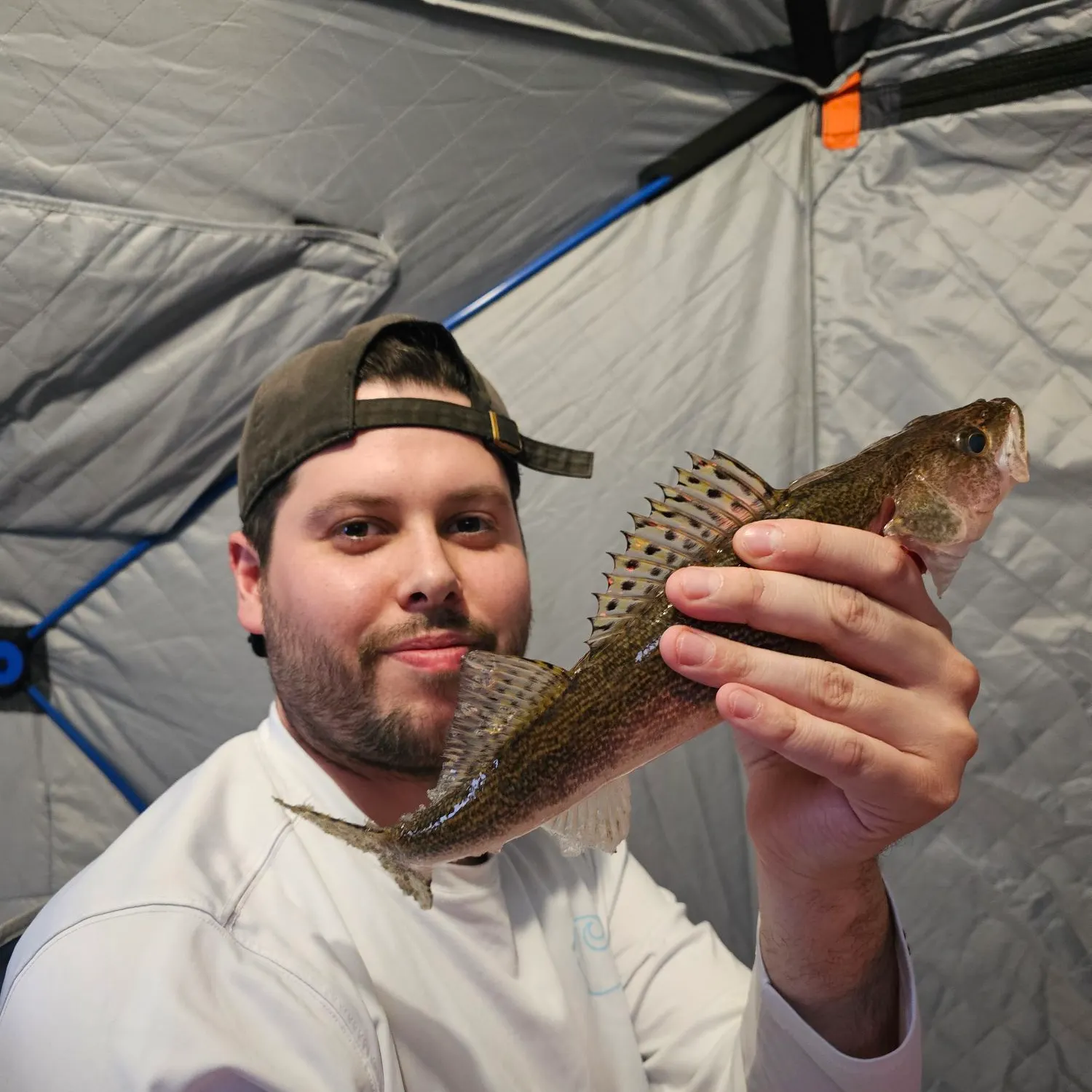 The most recent Sauger catches on Fishbrain