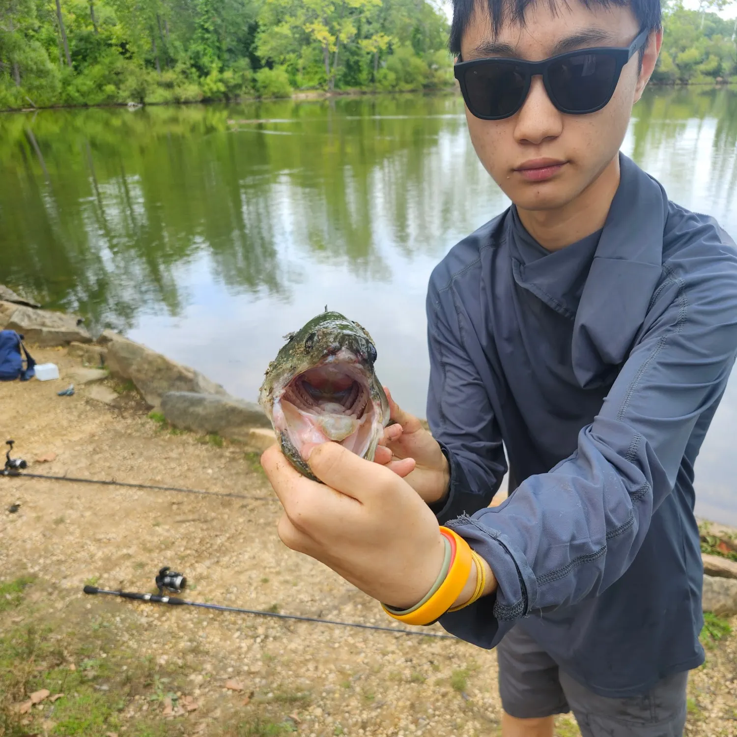 Largemouth bass caught on Fishbrain